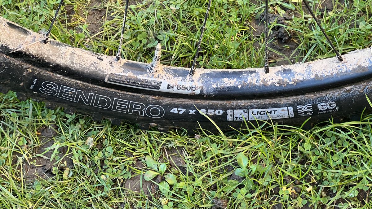 WTB Sendero TCS Light/Fast Rolling Dual DNA SG2 tire review 650b