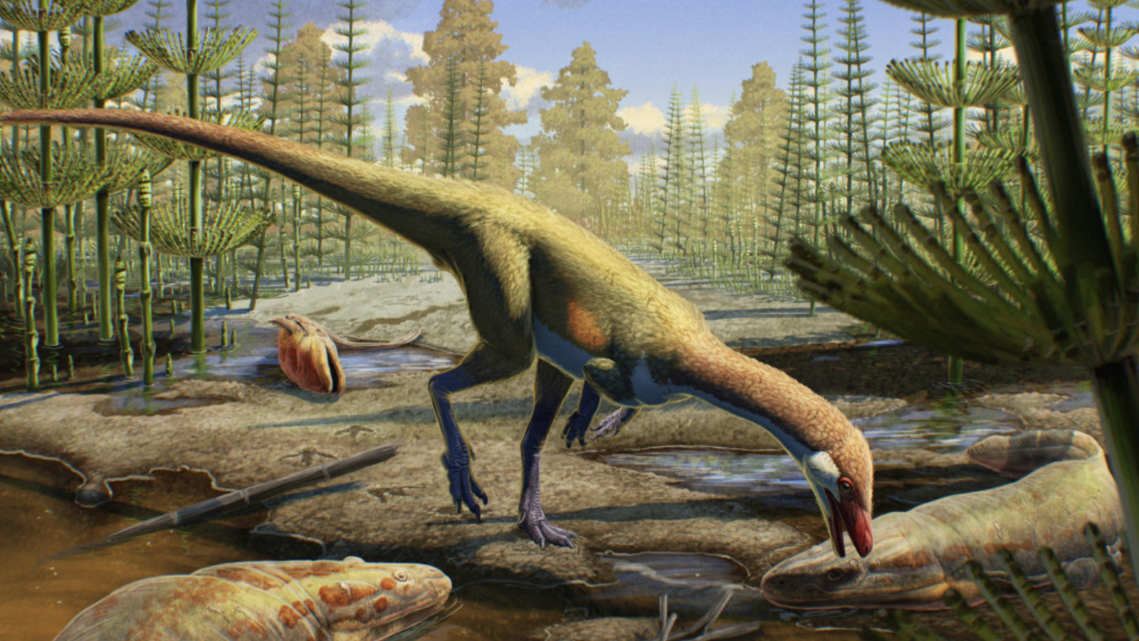 Oldest known dinosaur in North America is a 'chickensize' raptor — and
