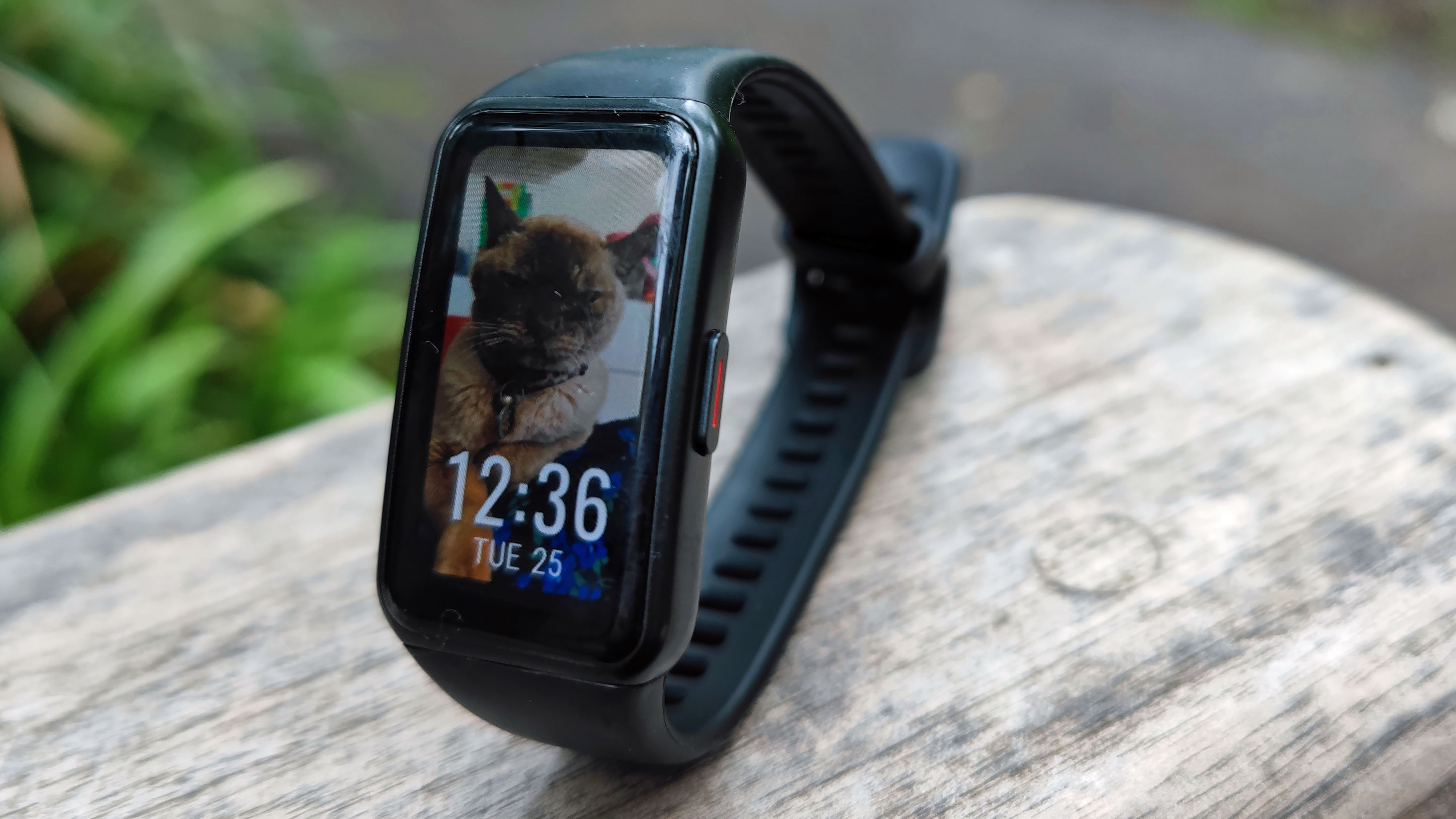Honor Band 6 review TechRadar