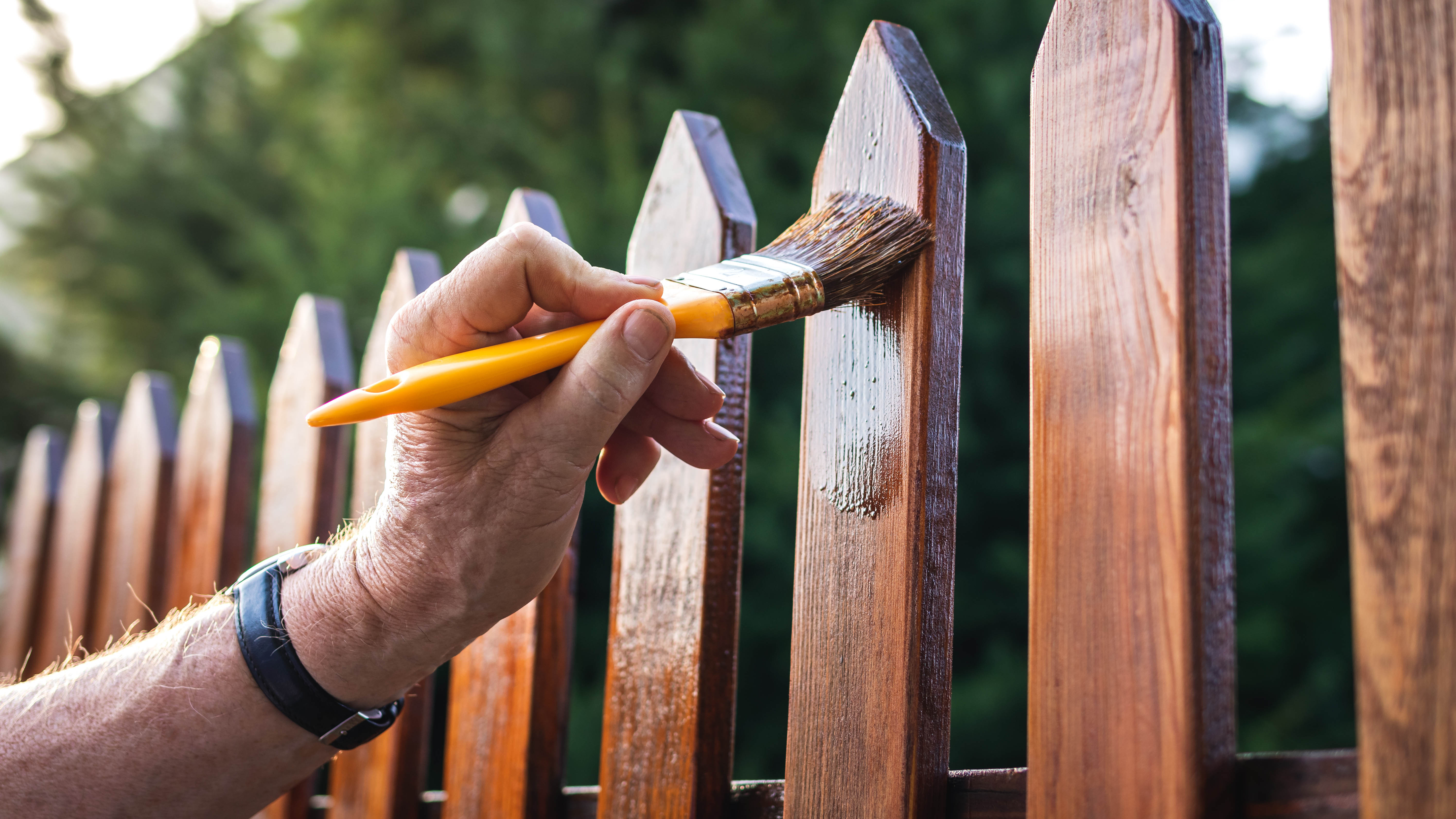 5 ways to maintain your wooden fence and keep it looking new Tom's Guide