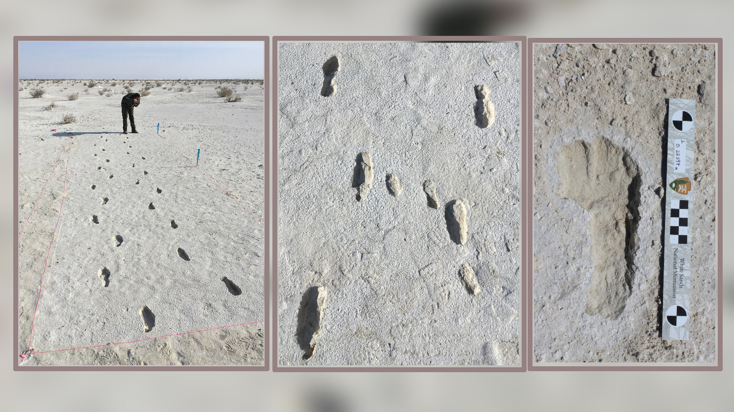 Researchers excavate a section of the prehistoric trackway at White Sands National Park. The middle image shows the clear impression of a toddler’s footprints, perhaps showing where the adult caregiver put the child down to rest or readjust before continuing the journey.