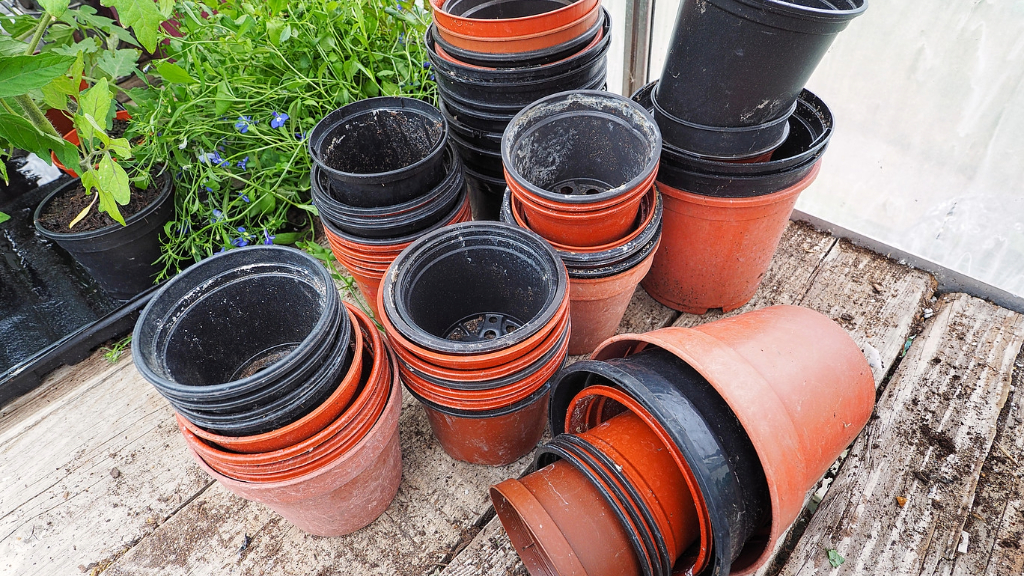 Clay Pots vs. Plastic Pots Should You Use Clay Pots Or Plastic Pots