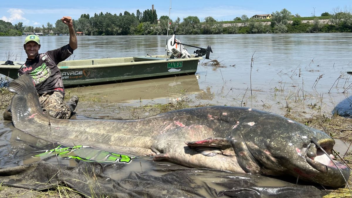Worlds Largest Freshwater Fish Ever Caught(04)