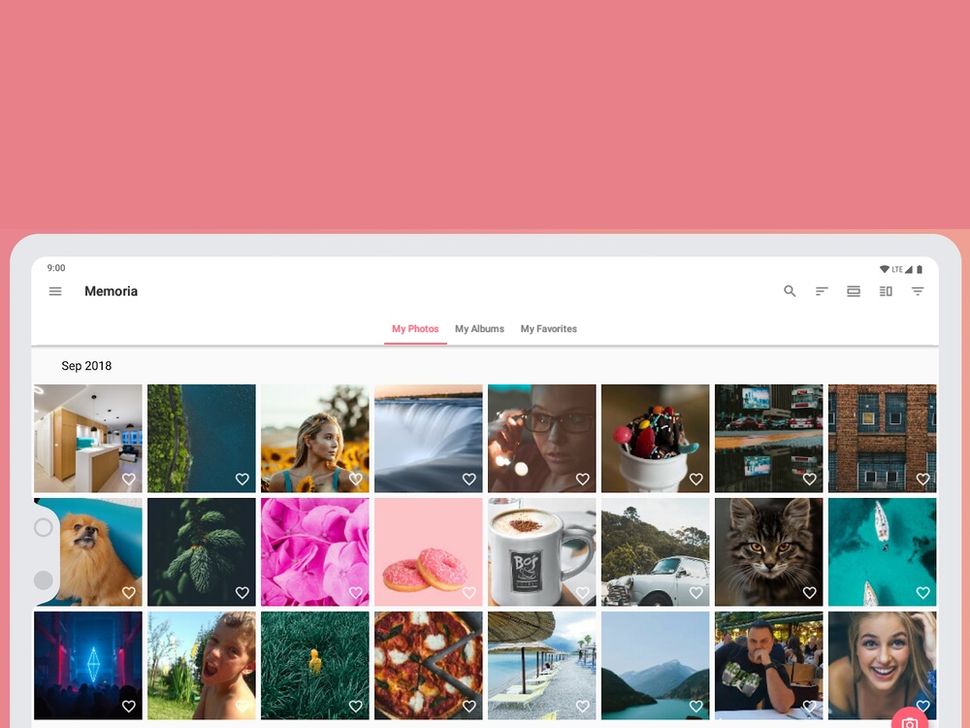 Best Photo Organizer Apps 2019 Albums and Photo Management Tools