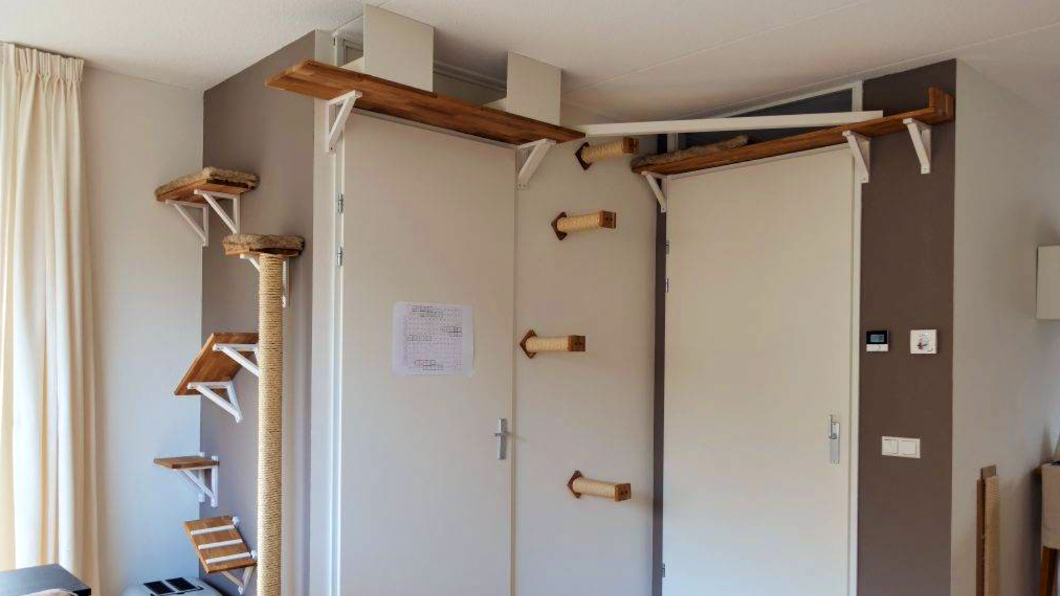 Six DIY cat wall shelves and perches PetsRadar