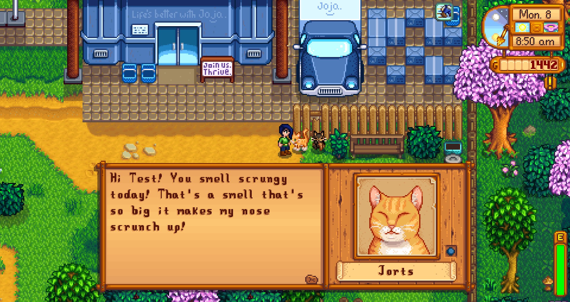 Stardew Valley mod adds viral kitty stars Jean and Jorts as NPCs PC Gamer