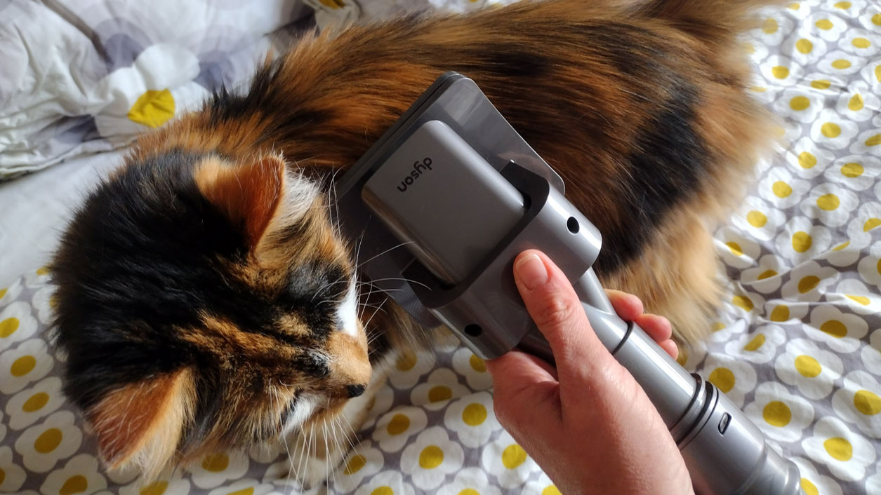 Dyson Pet Groom Tool review Top Ten Reviews