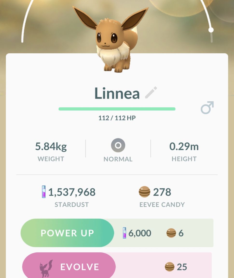 How to get Leafeon and Glaceon in Pokemon Go GamesRadar+