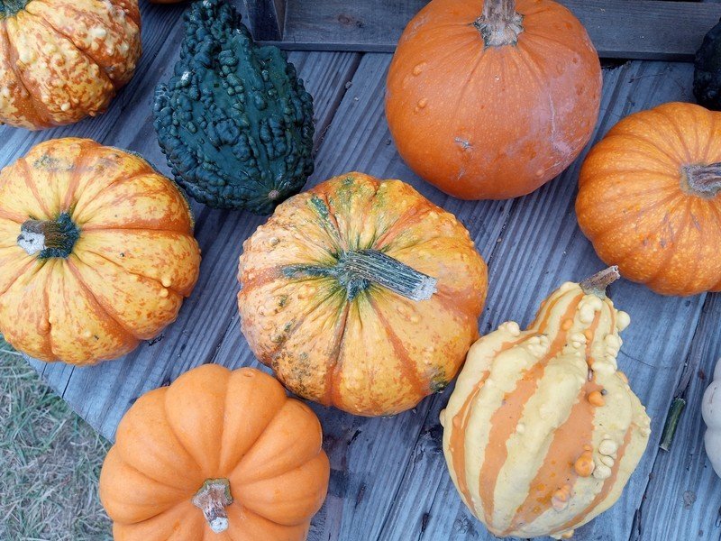 Moto G Pure review: Purely the basics and not much else | Android Central