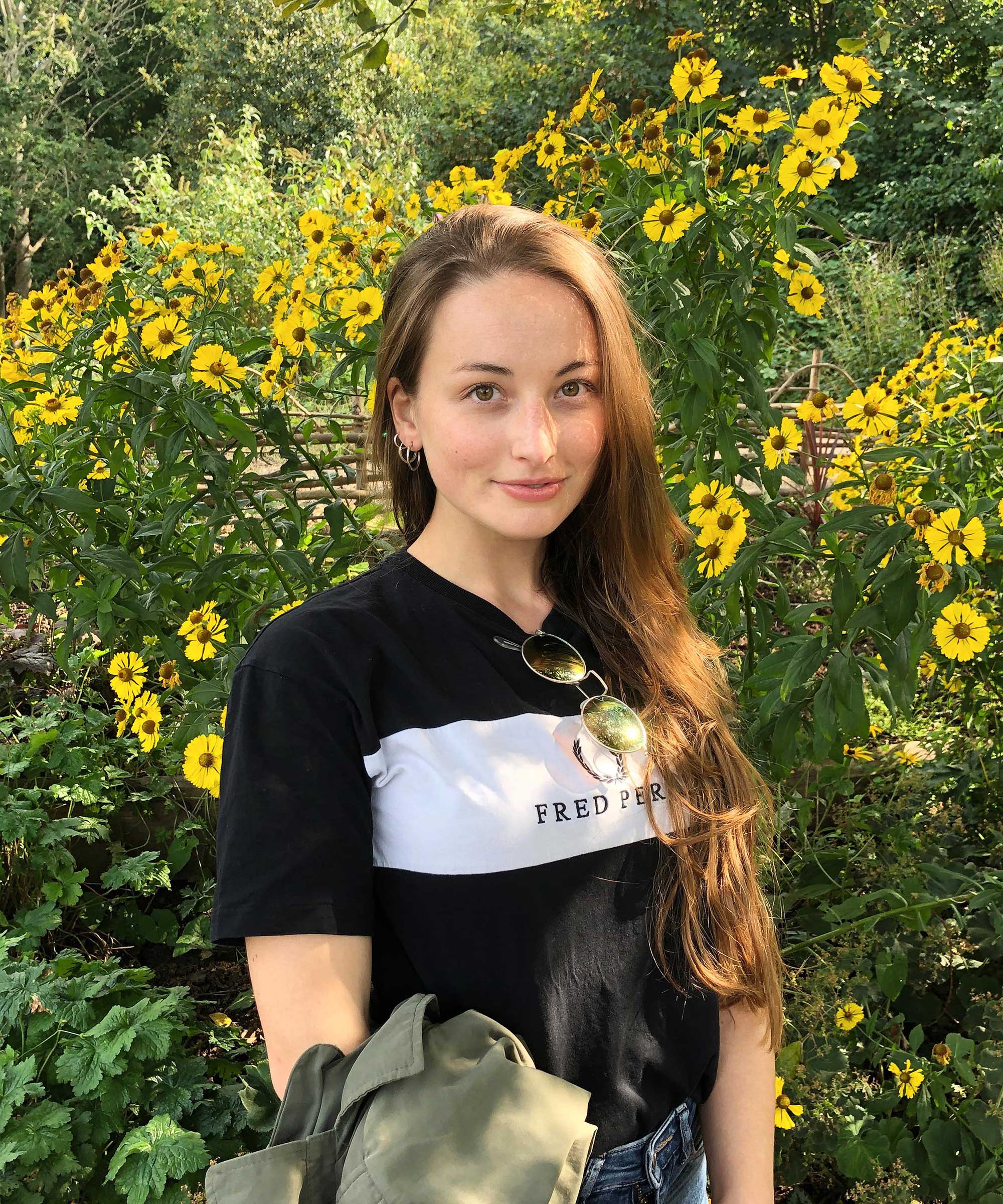 Why is my boxwood turning yellow? 4 reasons and solutions