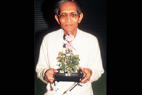 overnight-scentsation-02