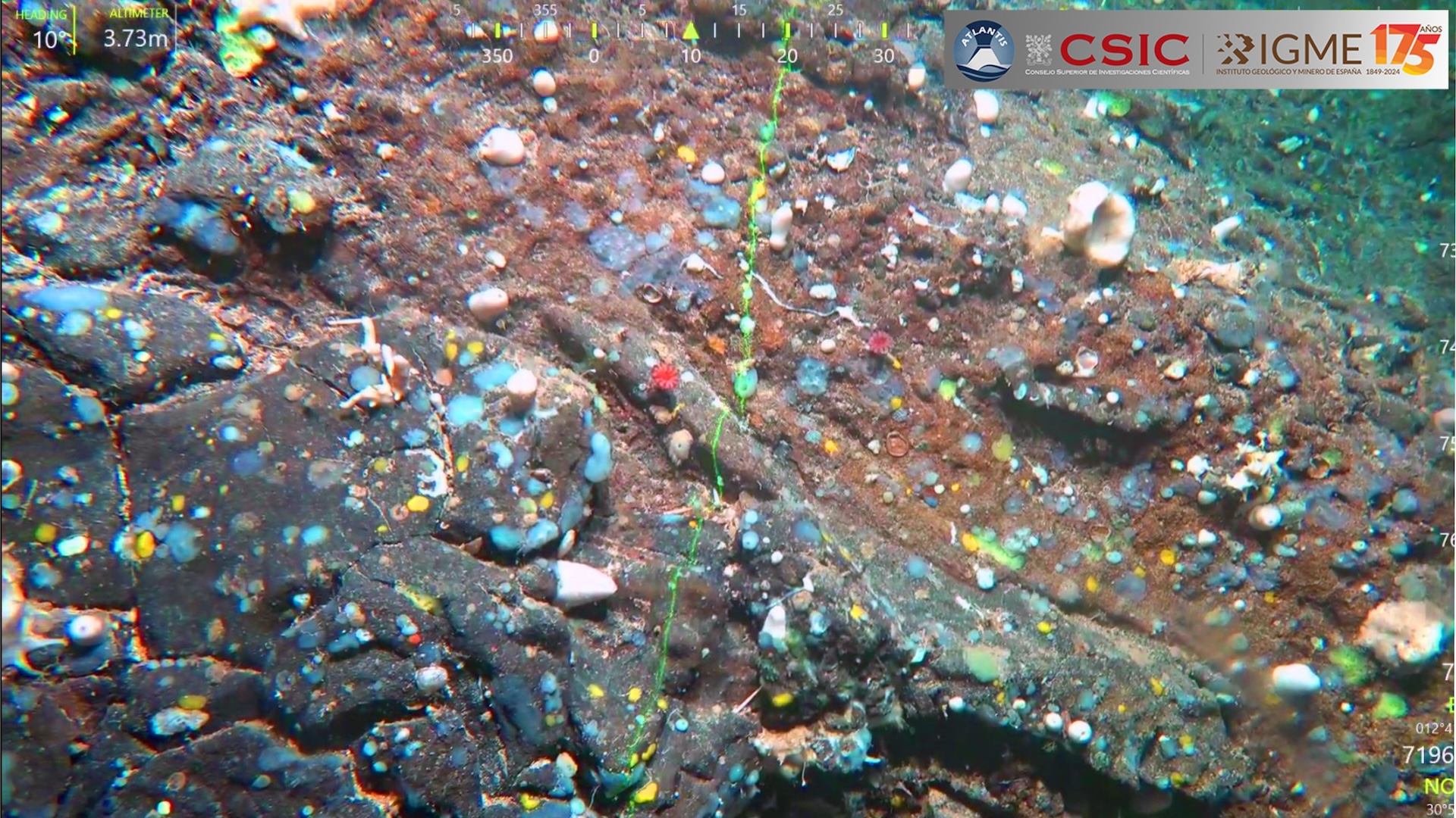An underwater photo showing a rocky seafloor