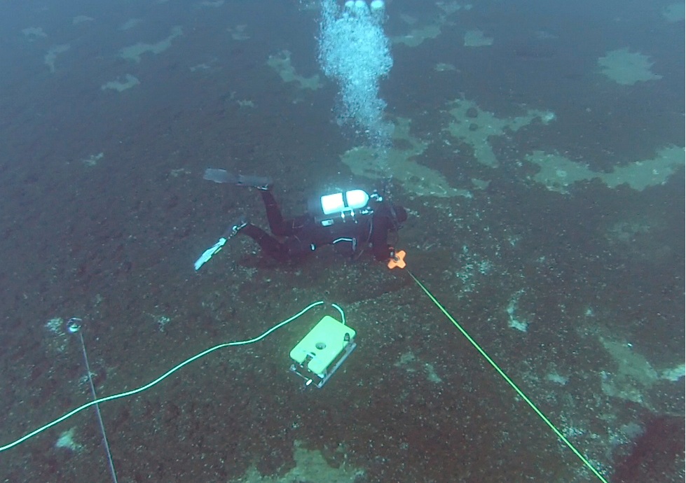 Lake Huron Ancient Hunting Site