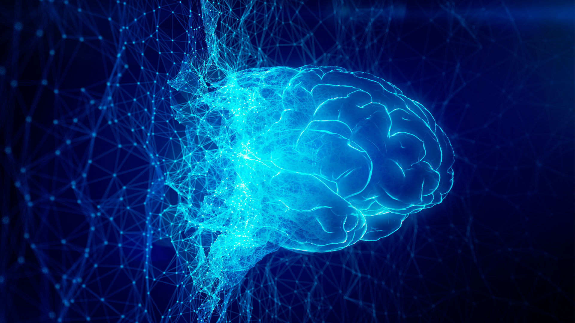 Elon Musk quiere que dejemos de entrenar a las IA Pero creo que eso