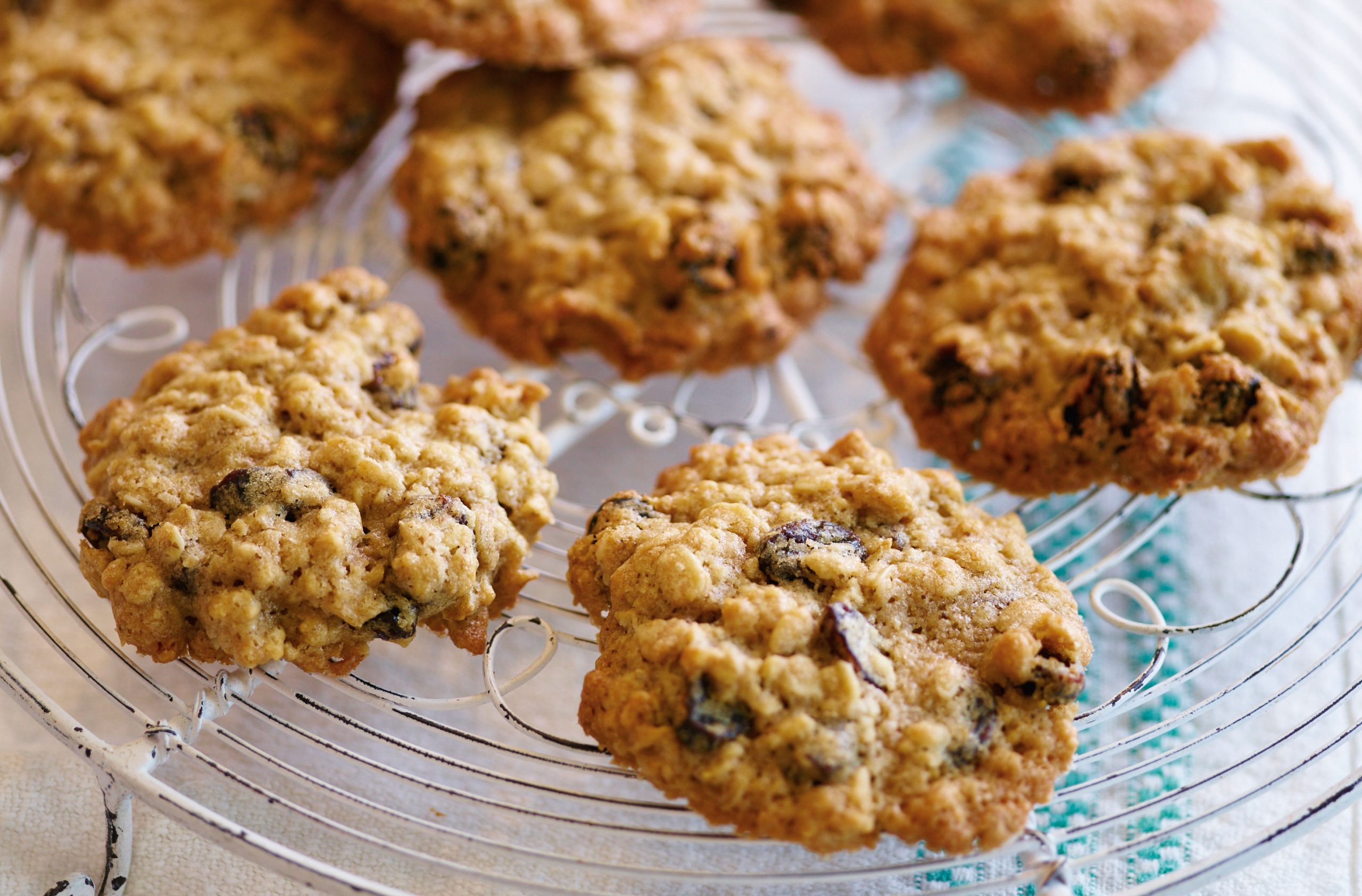 Dad S Scotch Oatmeal Cookie Recipe Bios Pics