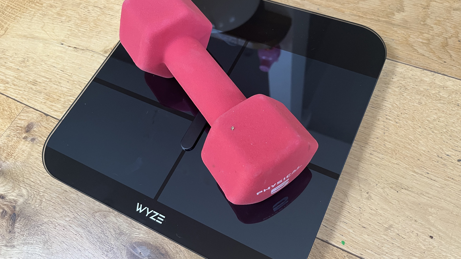 Wyze Scale X smart scale being tested by Live Science contributor Maddy Bidulph