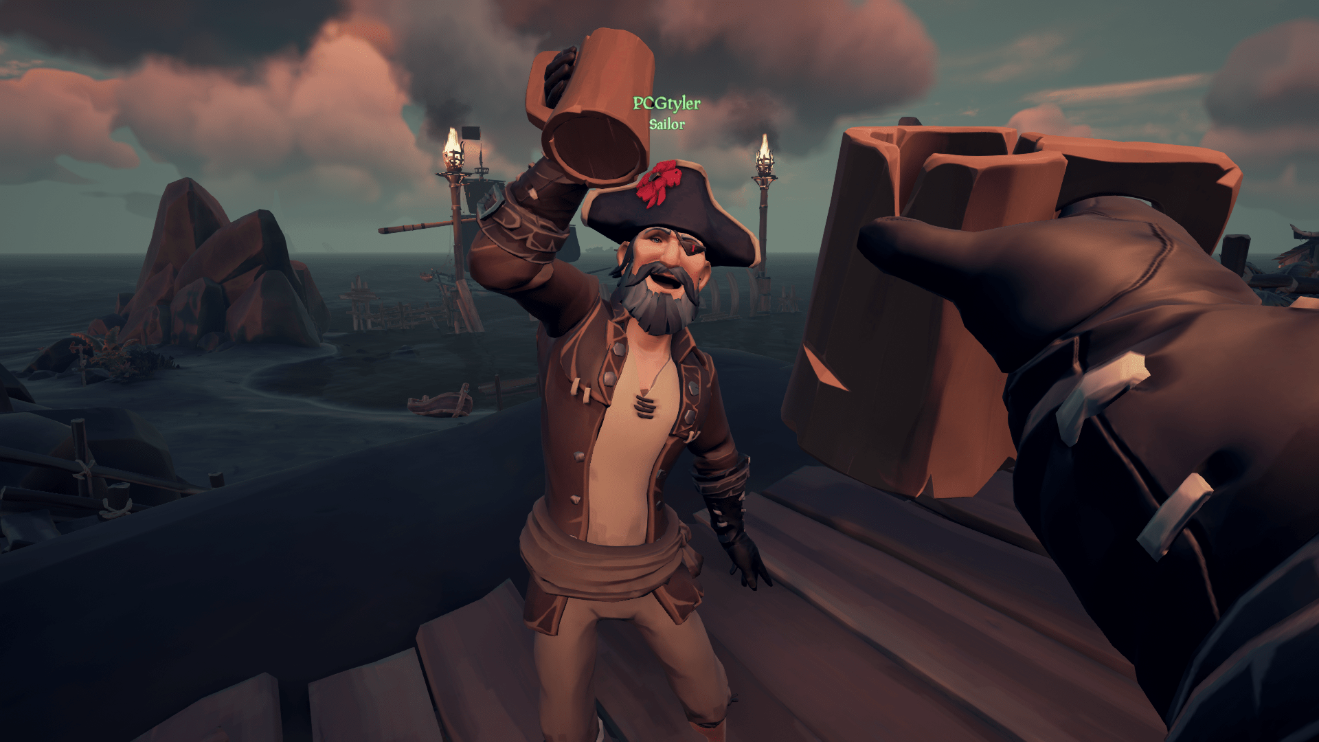 How To Get Pets In Sea Of Thieves