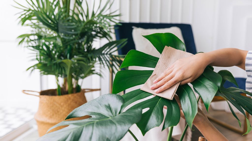 7 ways to make your fake plants look more real Tom's Guide