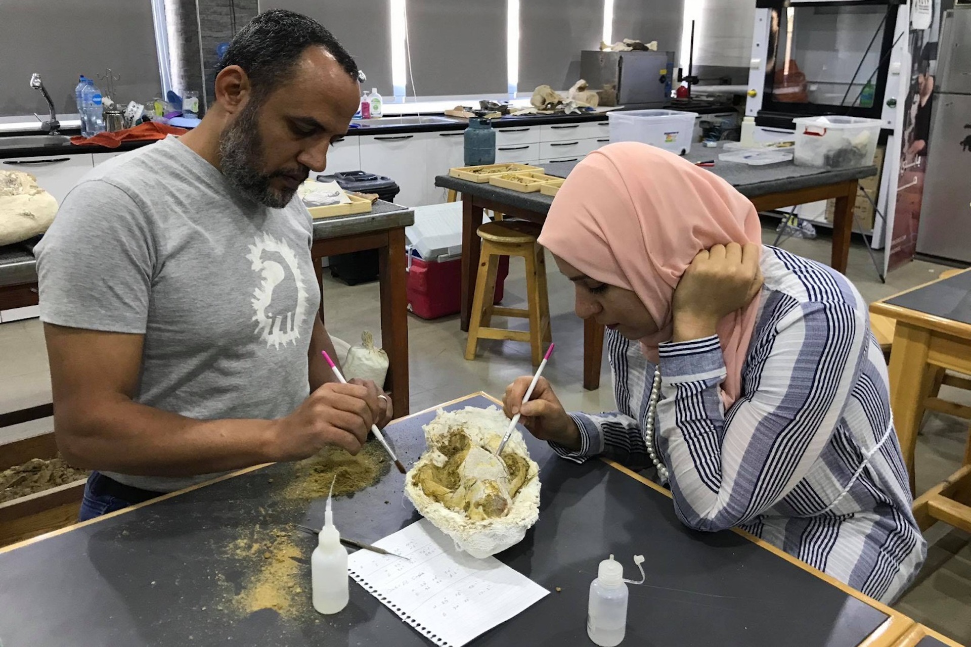 Two people clean a large skull in a lab
