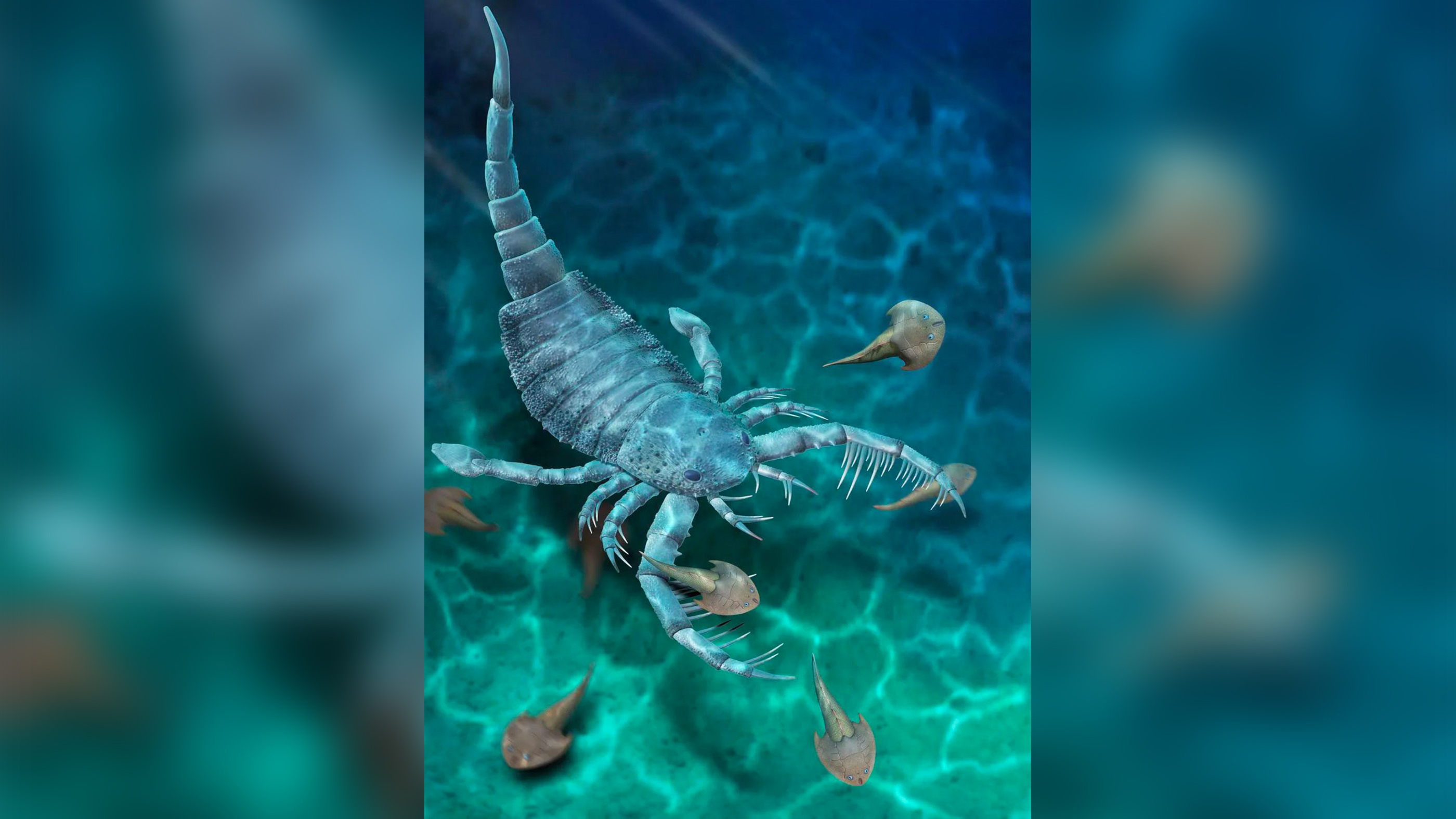 An artist�s impression of Terropterus xiushanensis.