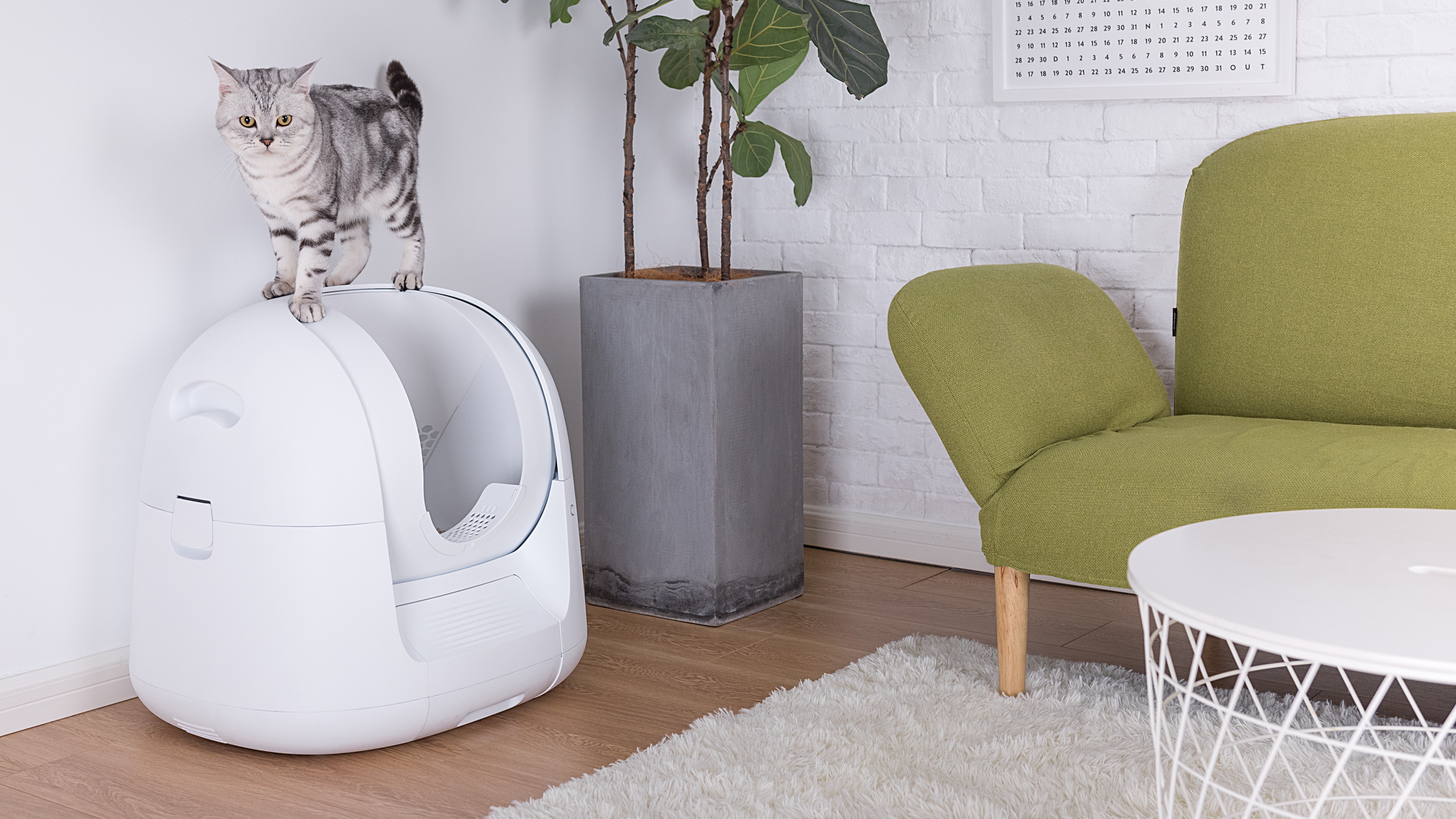This AI litter tray analyzes your cat's health and uses