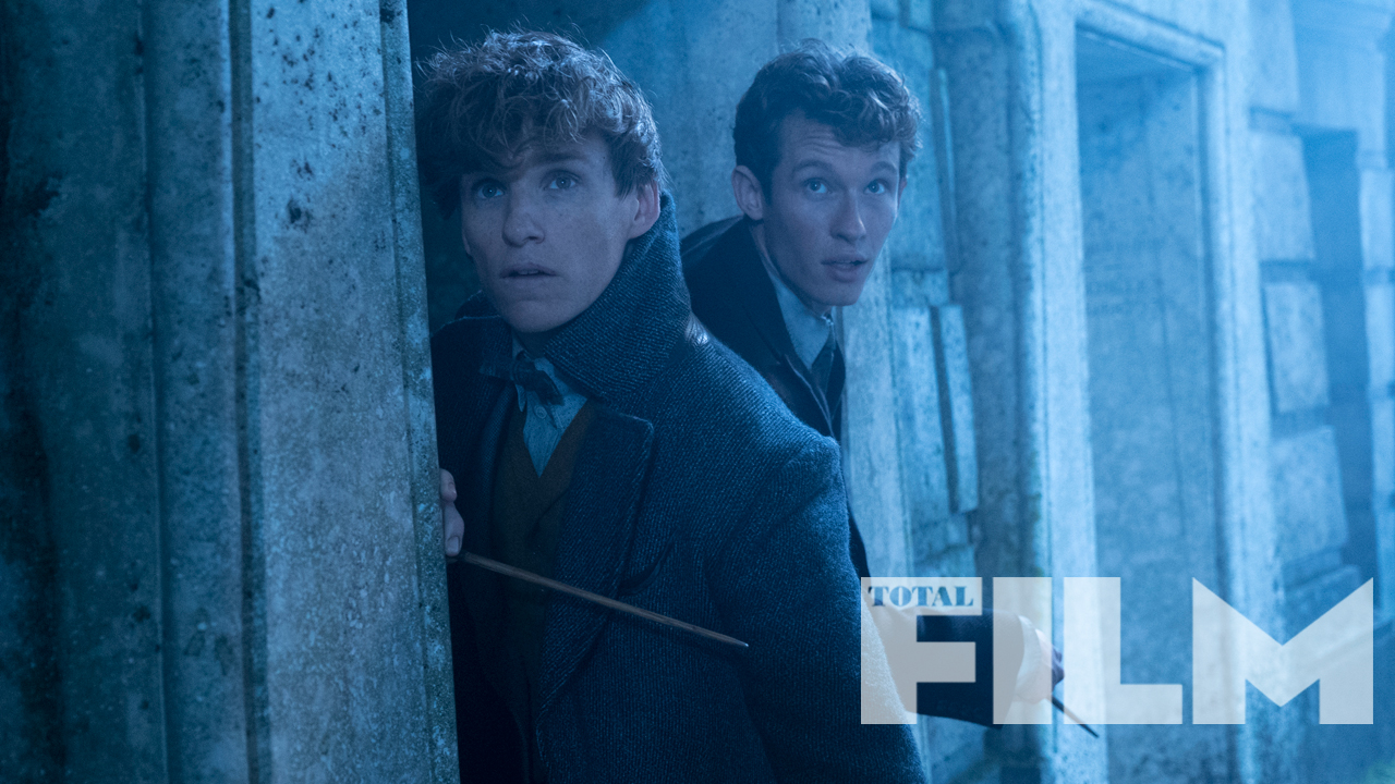 New footage of the Scamander brothers r/FantasticBeasts