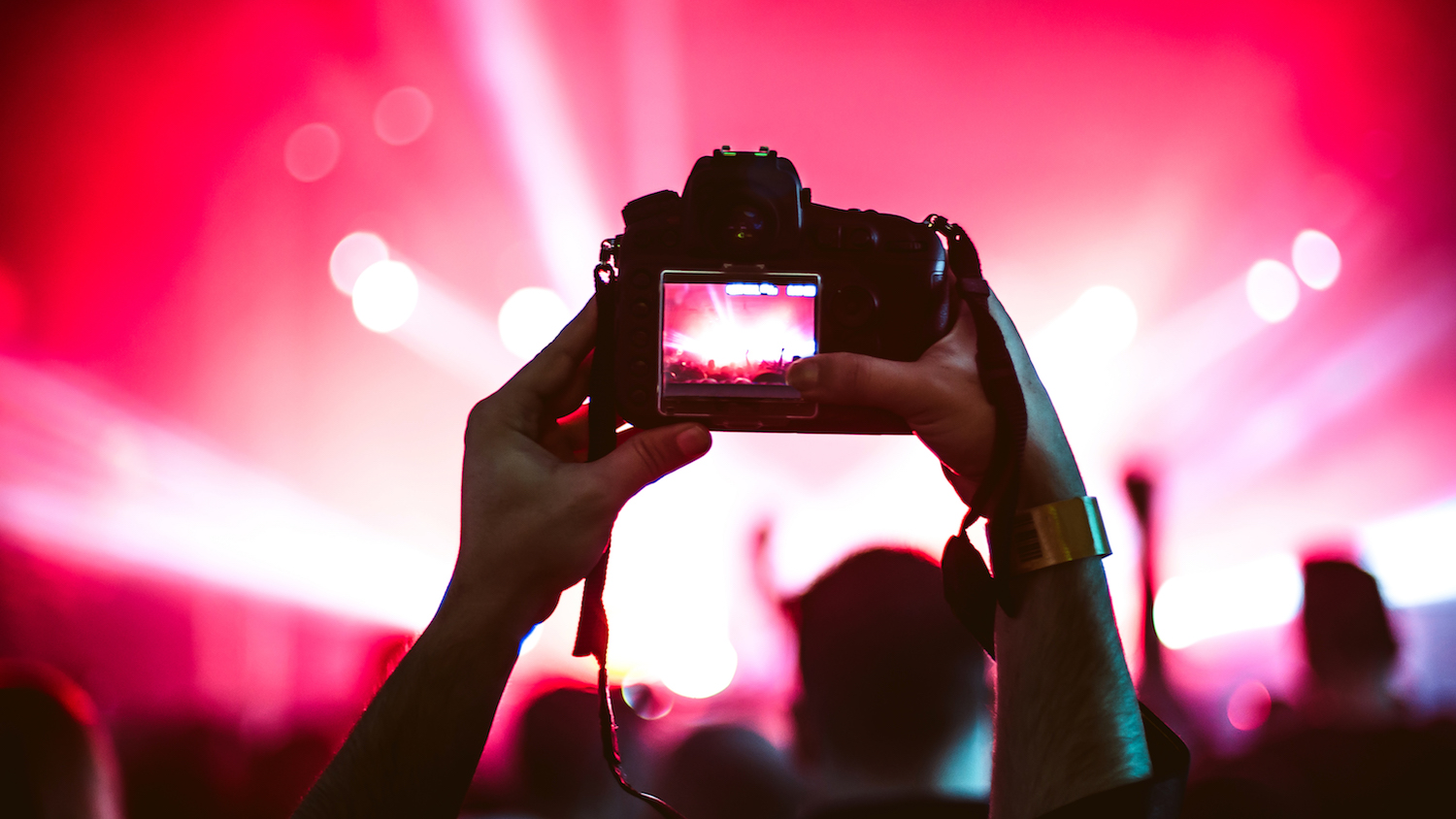 Best cheap cameras 2023 top budget cameras for budding music