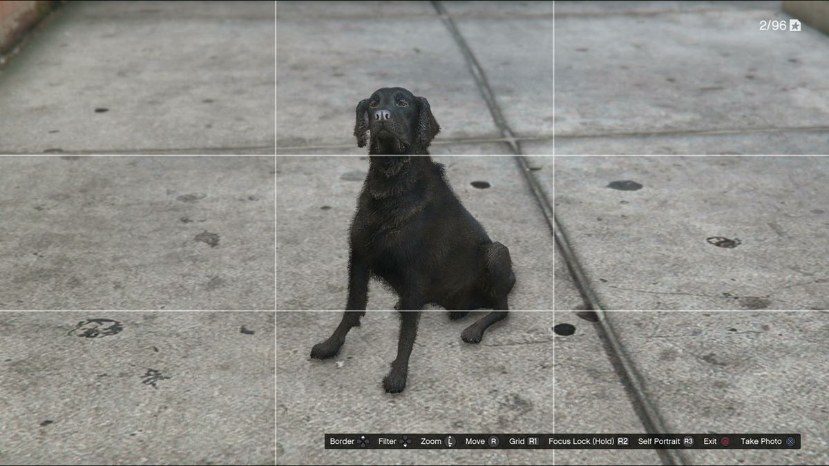 GTA 5 Wildlife Photography Challenge How to find all animals and unlock the Kraken sub