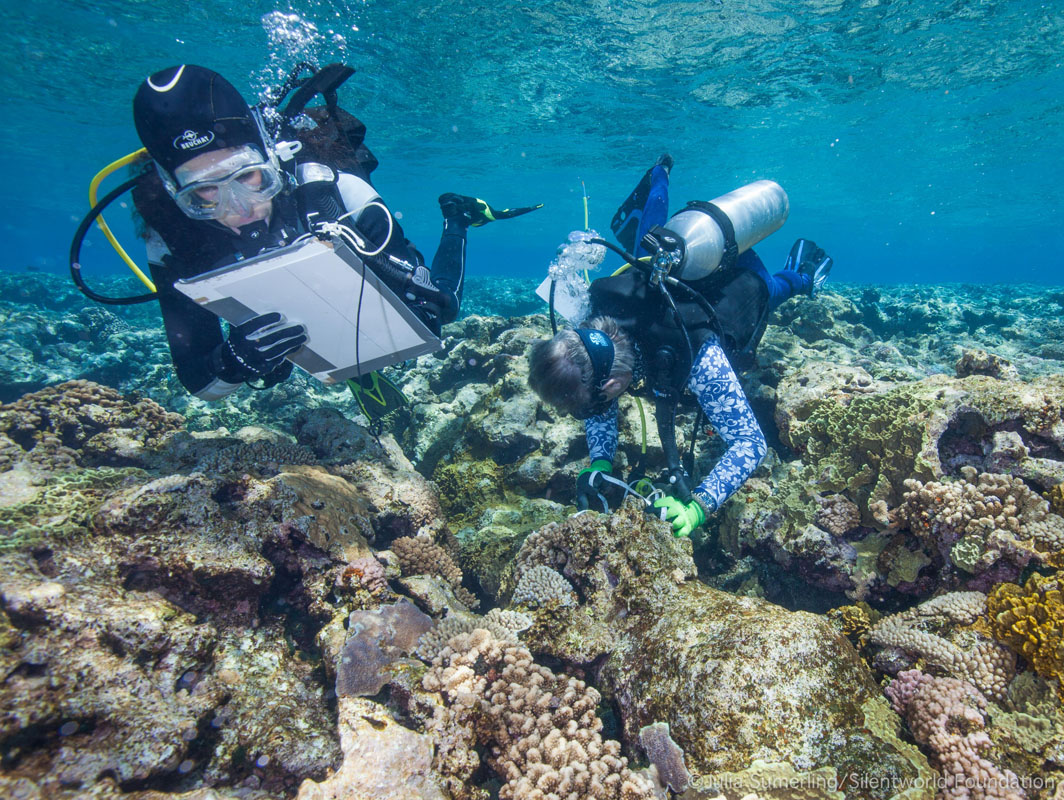 australia shipwrecks
