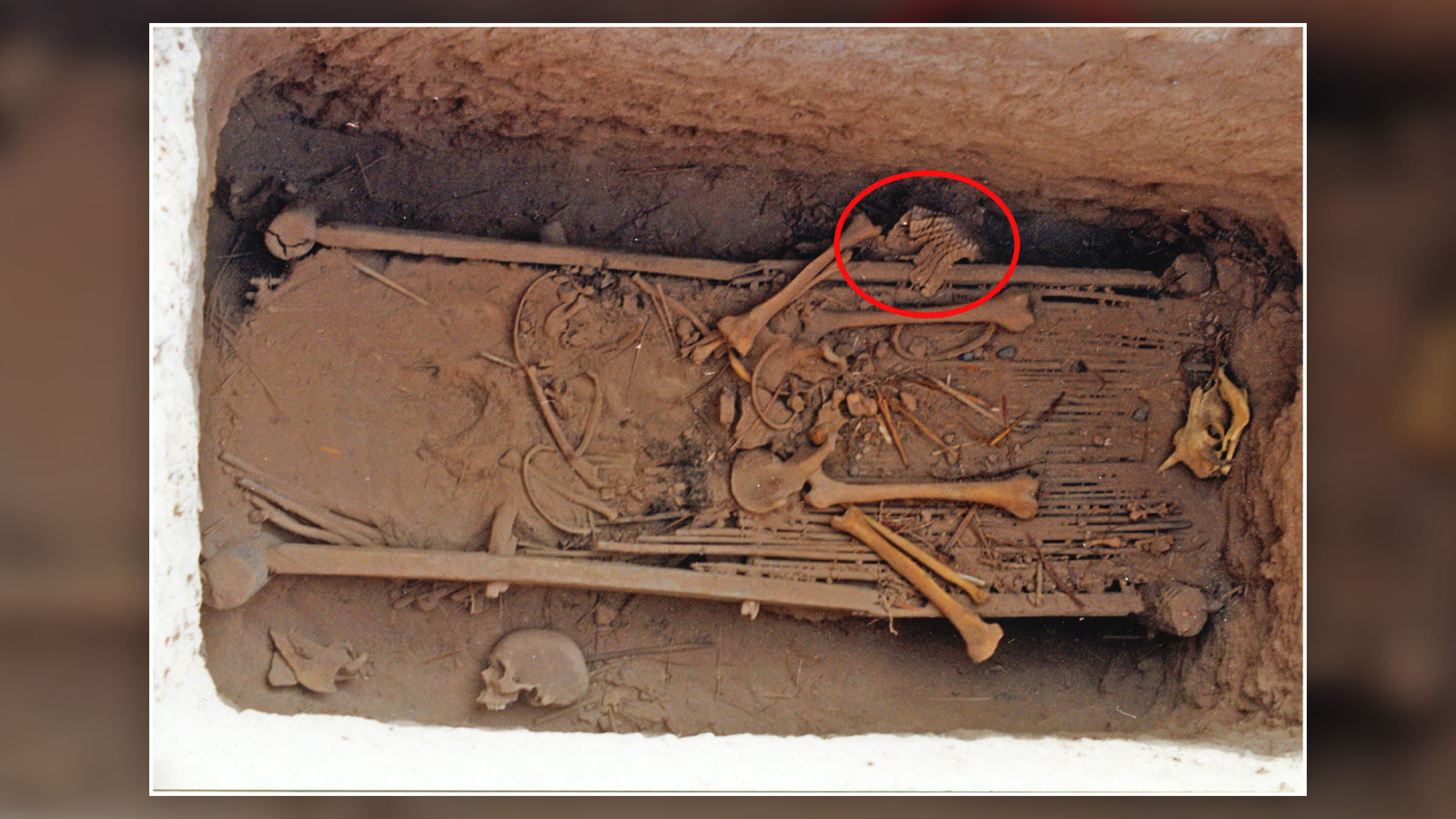 The Yanghai burial in northwest China, with the leather scale armor circled in red.
