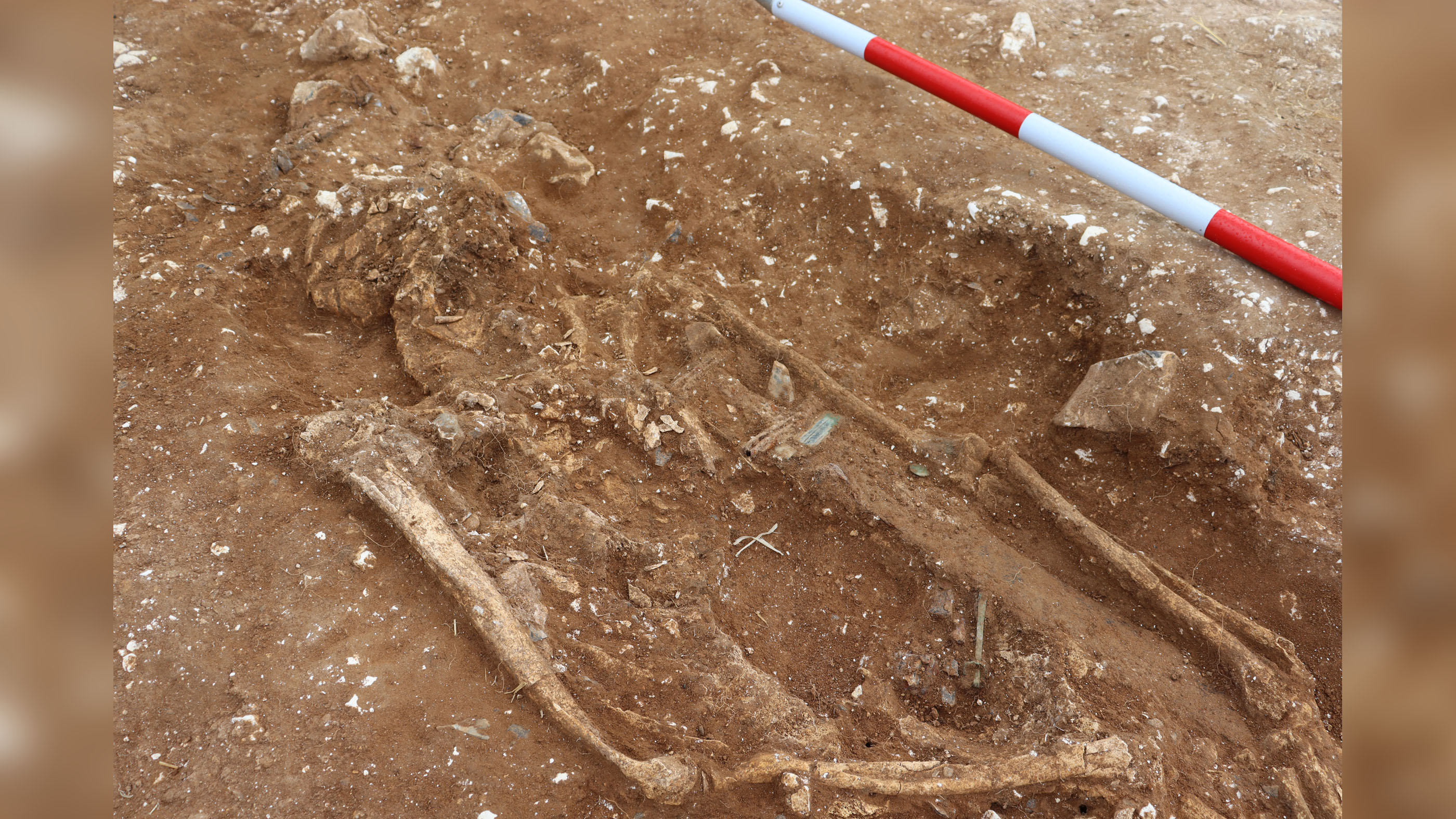 Archaeologists think the Marlow Warlord was the ruler of an early Anglo-Saxon tribe situated between the large Anglo-Saxon communities around Oxford and London.