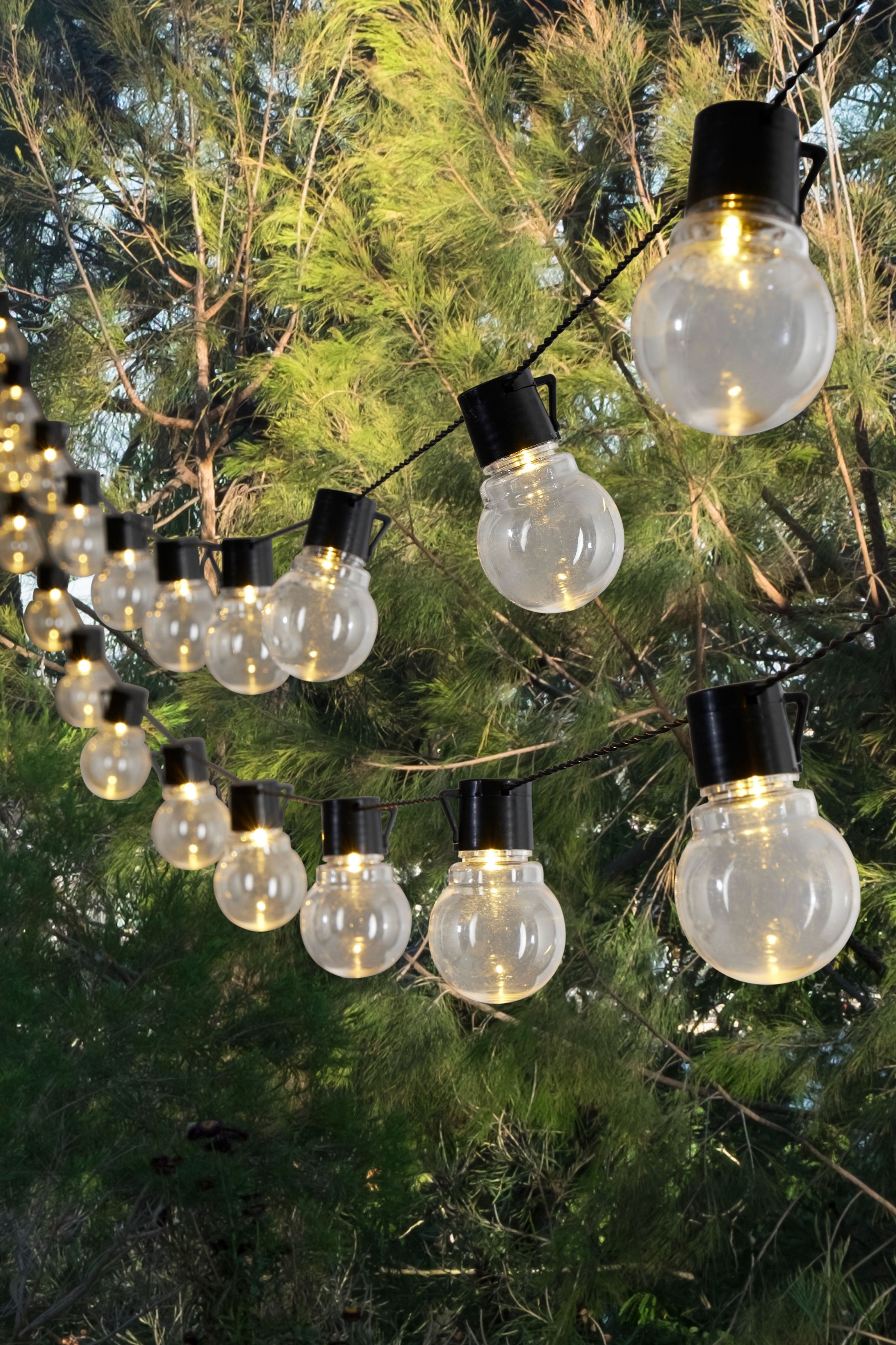Festoon lights for just £25...one of our favourite outdoor lighting