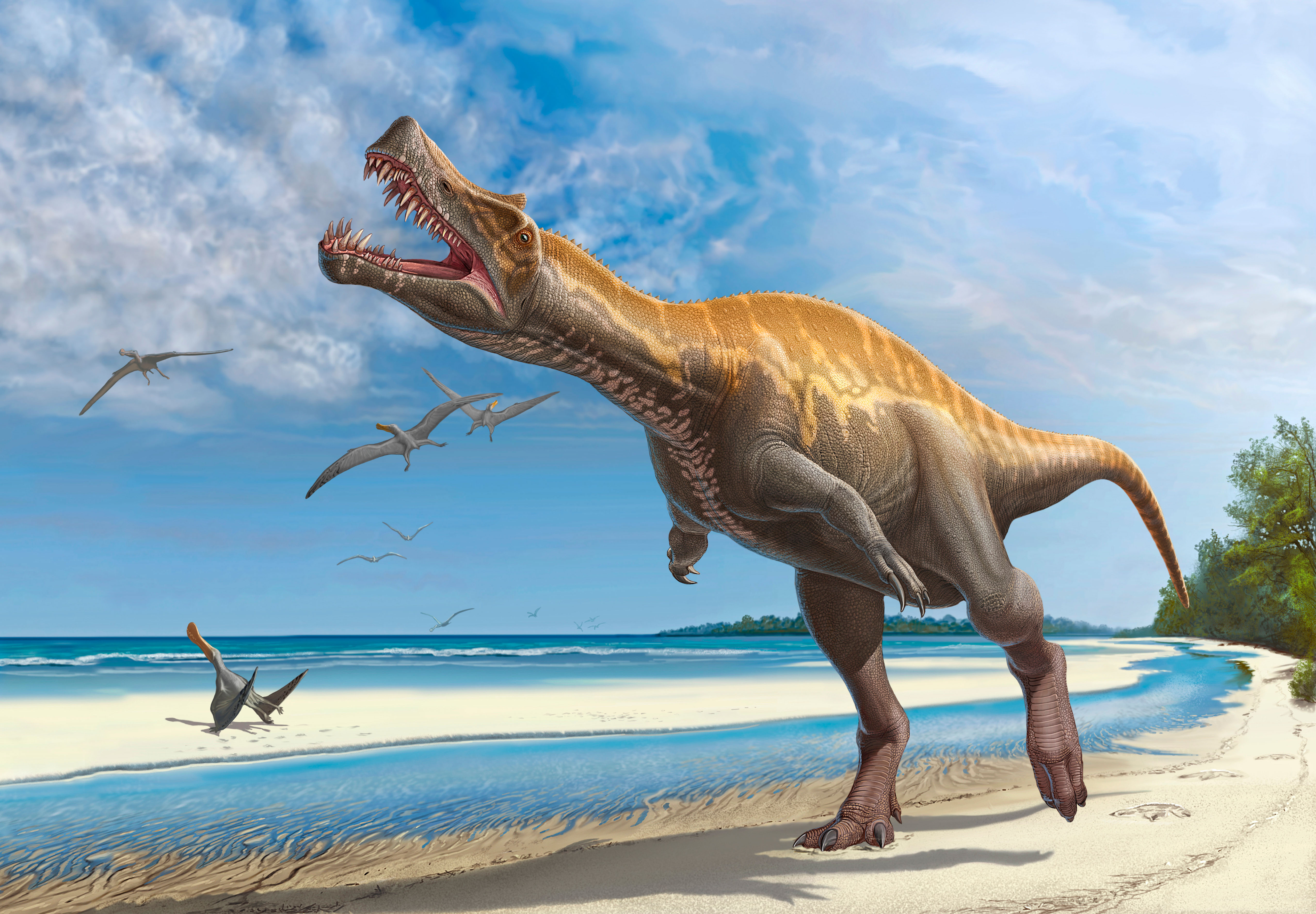 Irritator challengeri lets out a loud roar while walking along a Cretaceous shoreline.