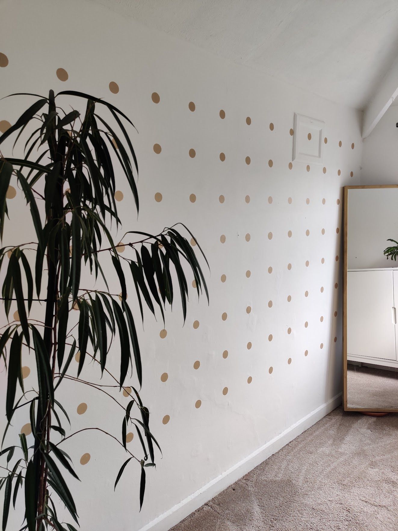 Easy polka dot accent wall a 7step DIY Real Homes