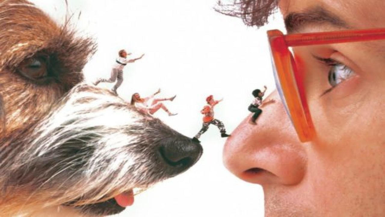 What's The Best Honey I Shrunk The Kids Movie? Let's Take A Closer Look