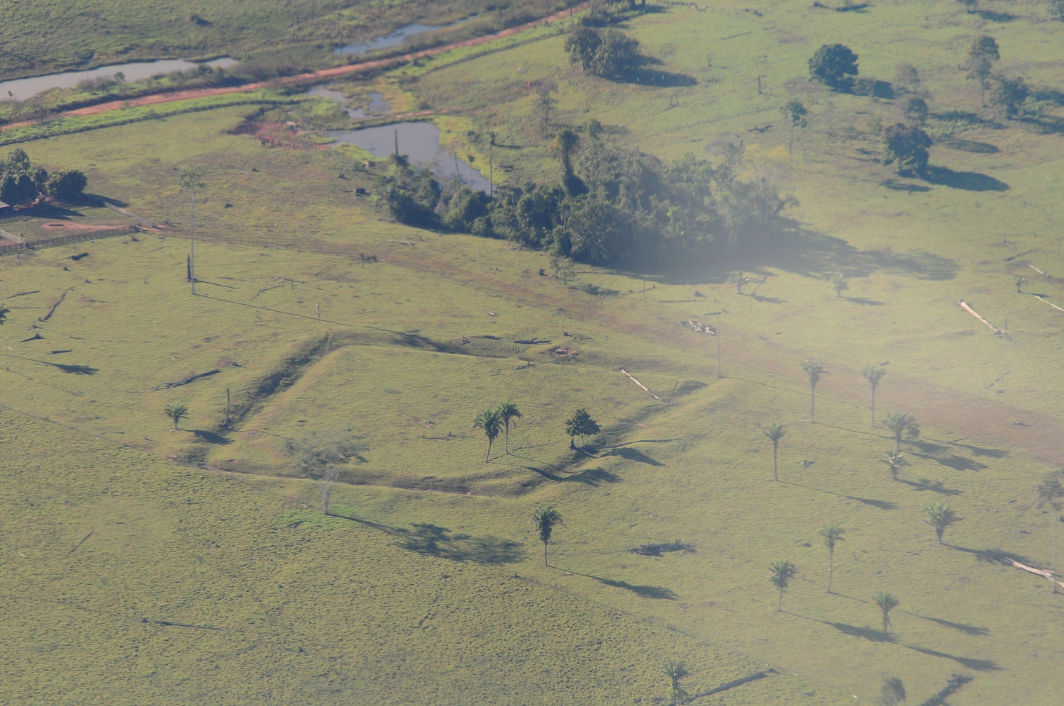 amazon geoglyphs