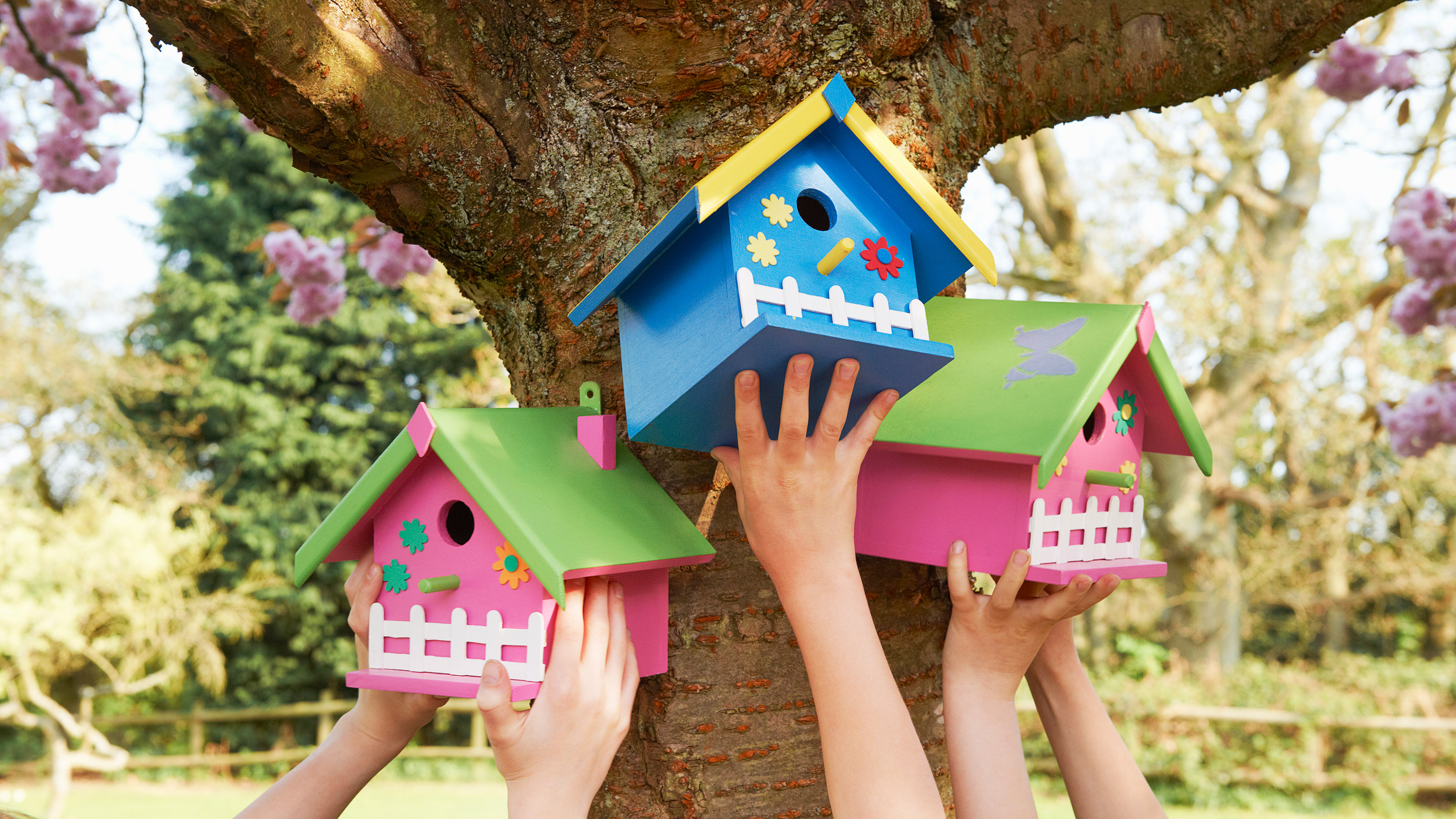 Best Colors For Bird Houses