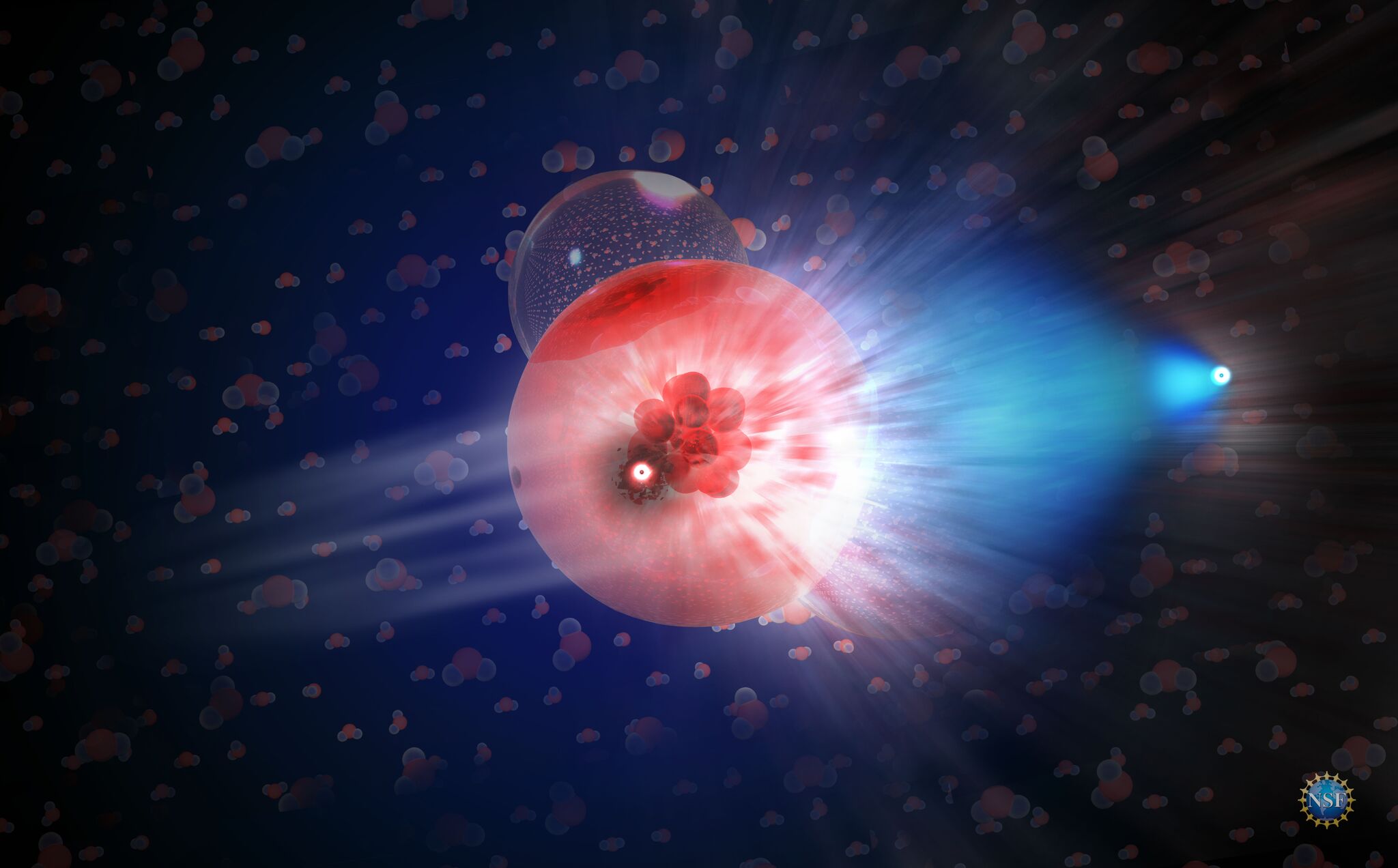 Will the true neutrino please stand up? Live Science