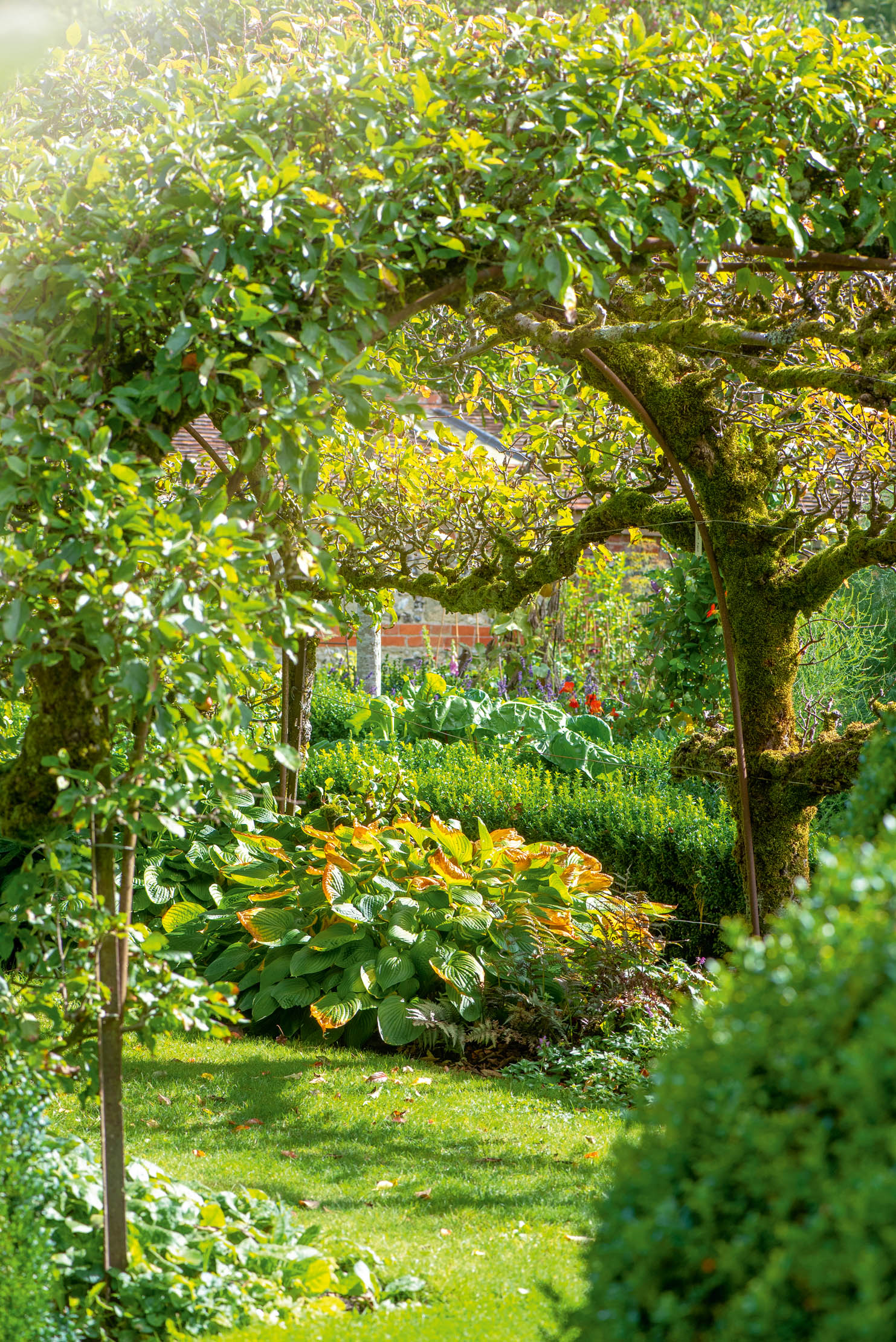 The ultimate guide to planting your own orchard 'Getting it right is
