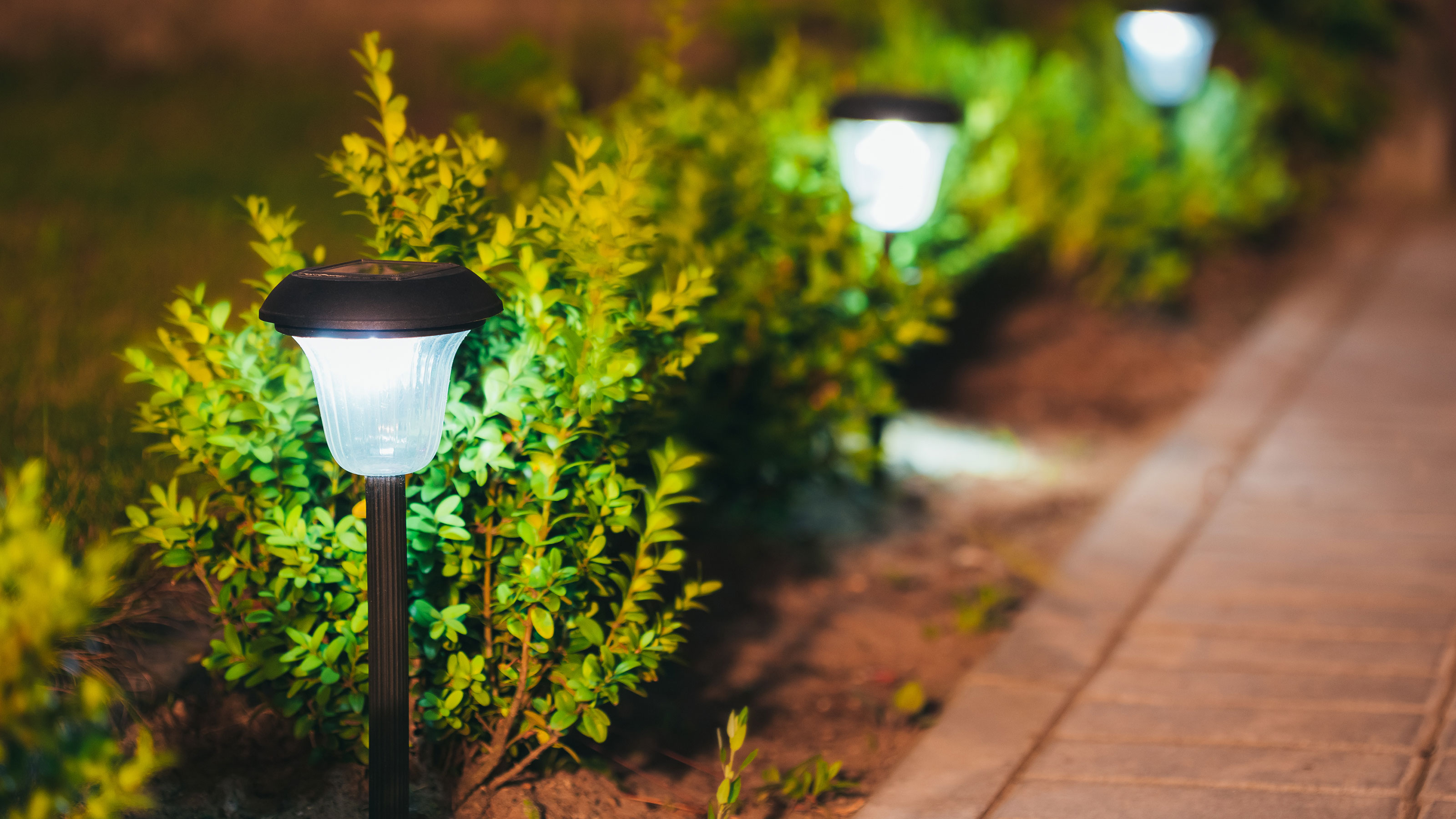 The 5 Best Garden Solar Lights for Outdoor Ambience Homebuilding