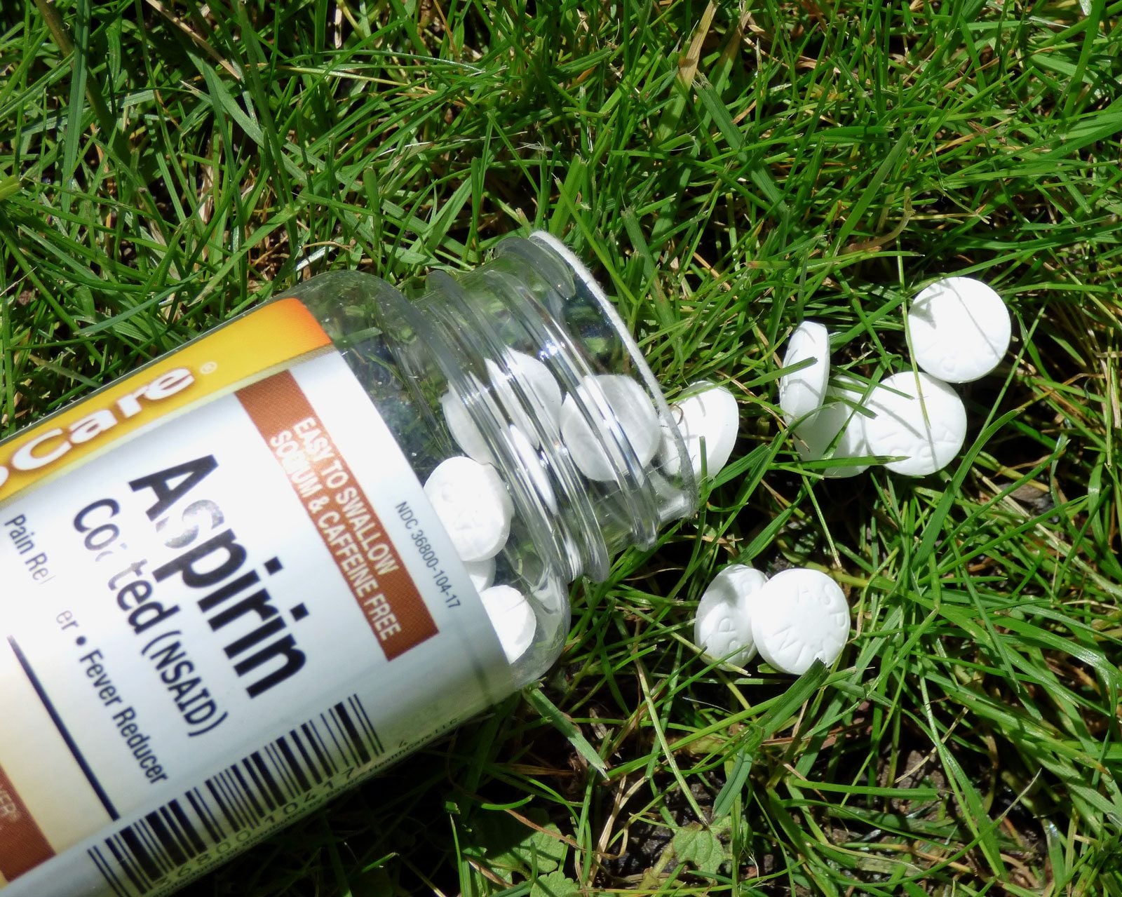 Use Of Aspirin On Plants: Aspirin In Vegetable Gardens And More