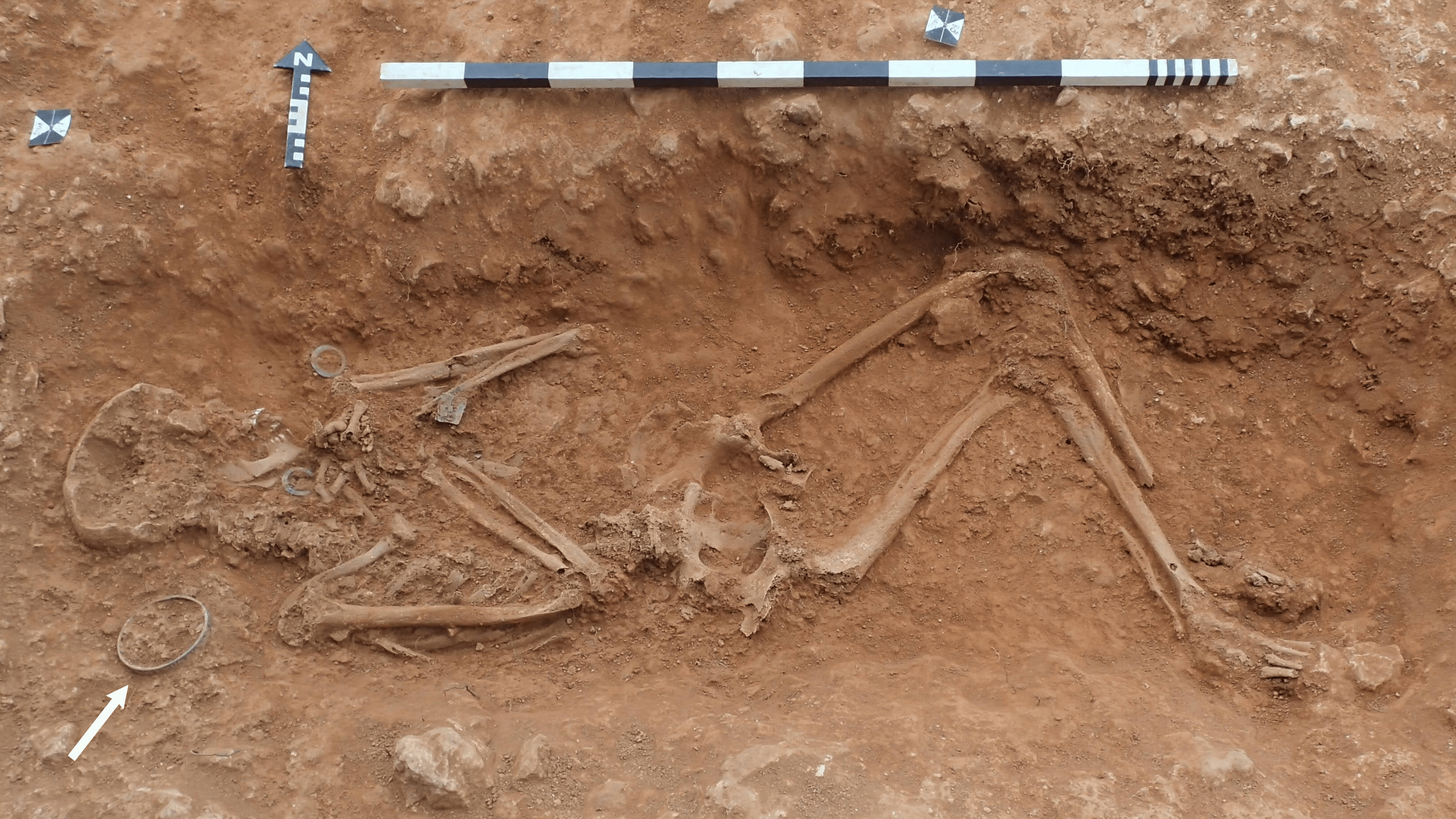 A skeleton of a young woman in rust-colored soil with the outline of a cup visible near her head with a white arrow pointing to it.