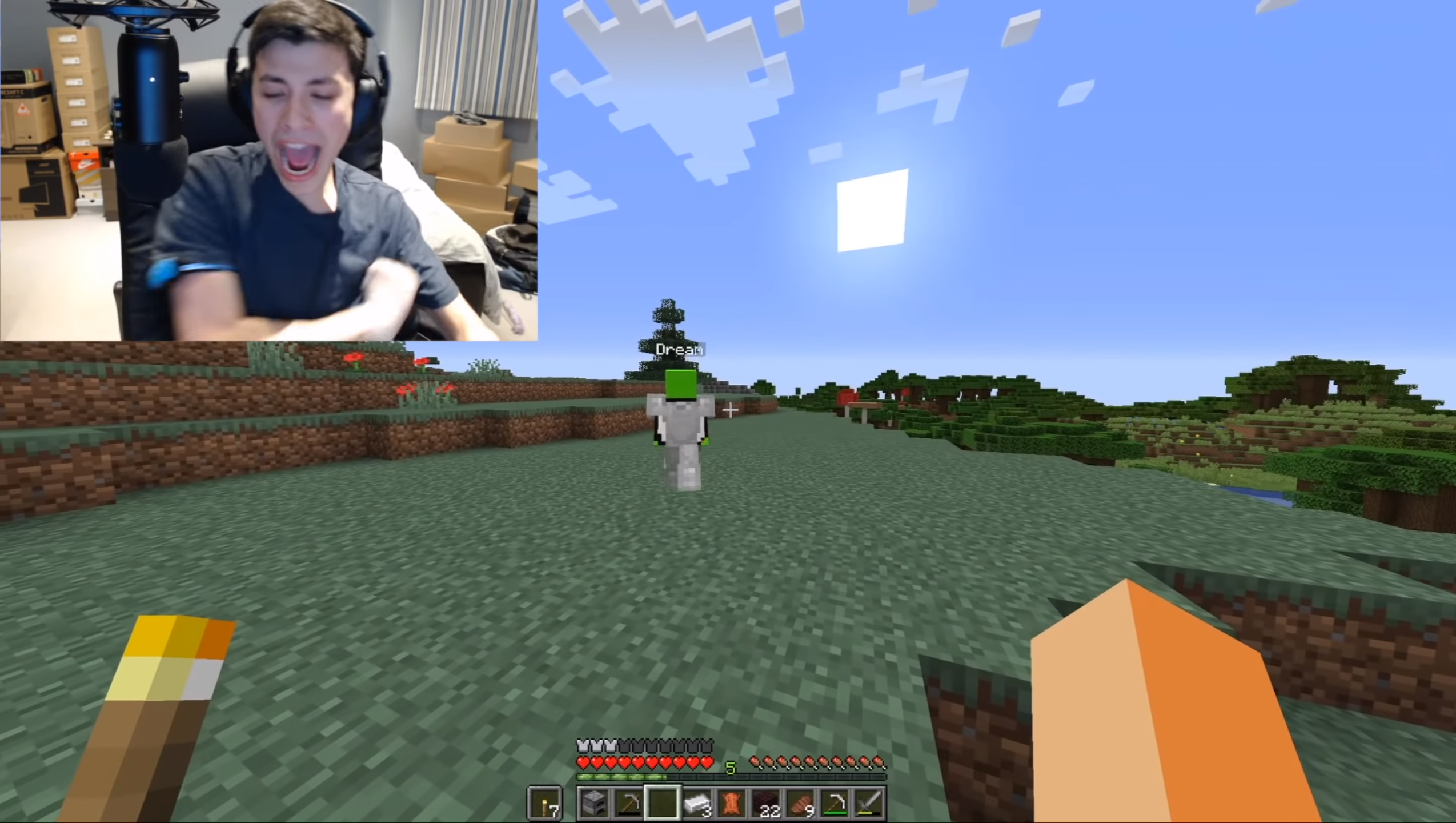 Computer Setup Minecraft Player Setup Dream Dog Pc