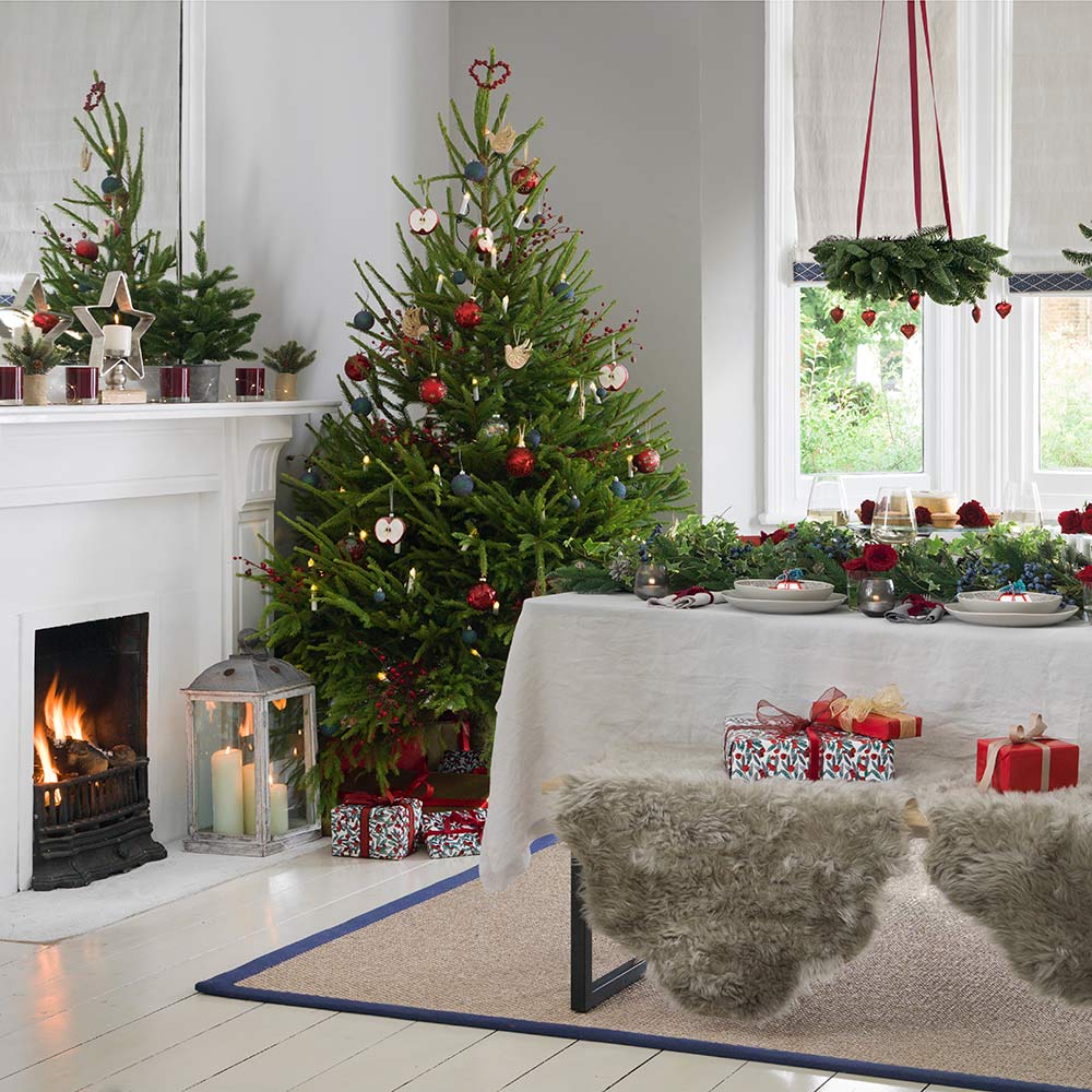 When to buy a Christmas tree this year according to an expert Ideal Home