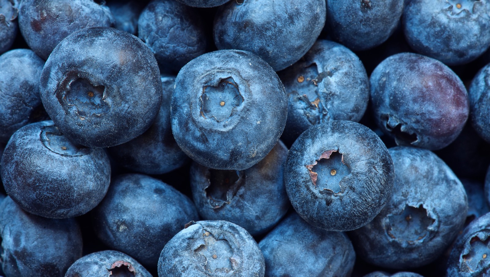 FDA recalls Dole blueberries in 4 US states Woman & Home