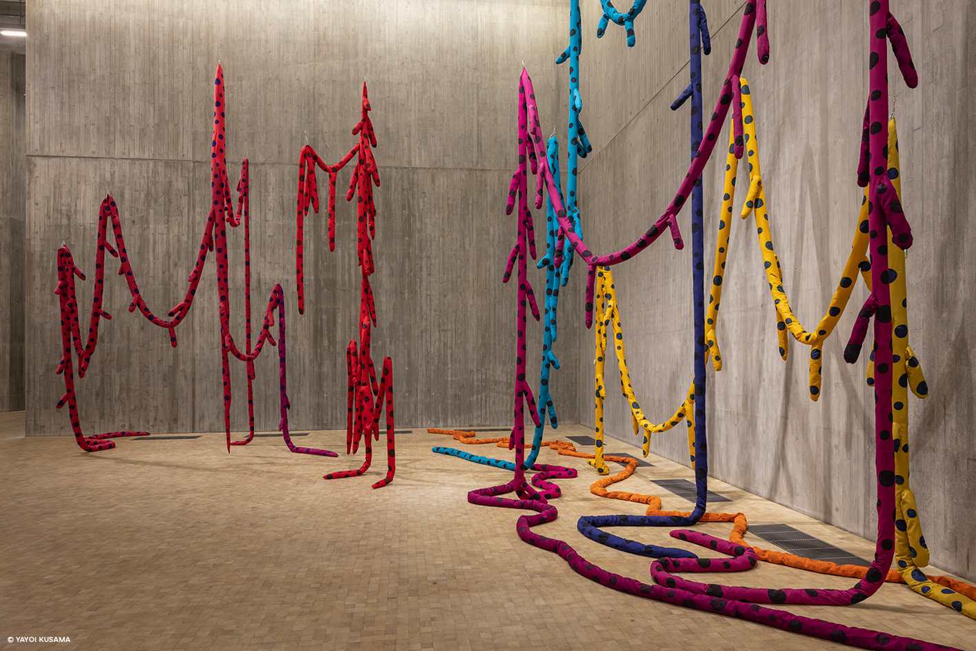 最新な NRTIVE ART LOOK 5個