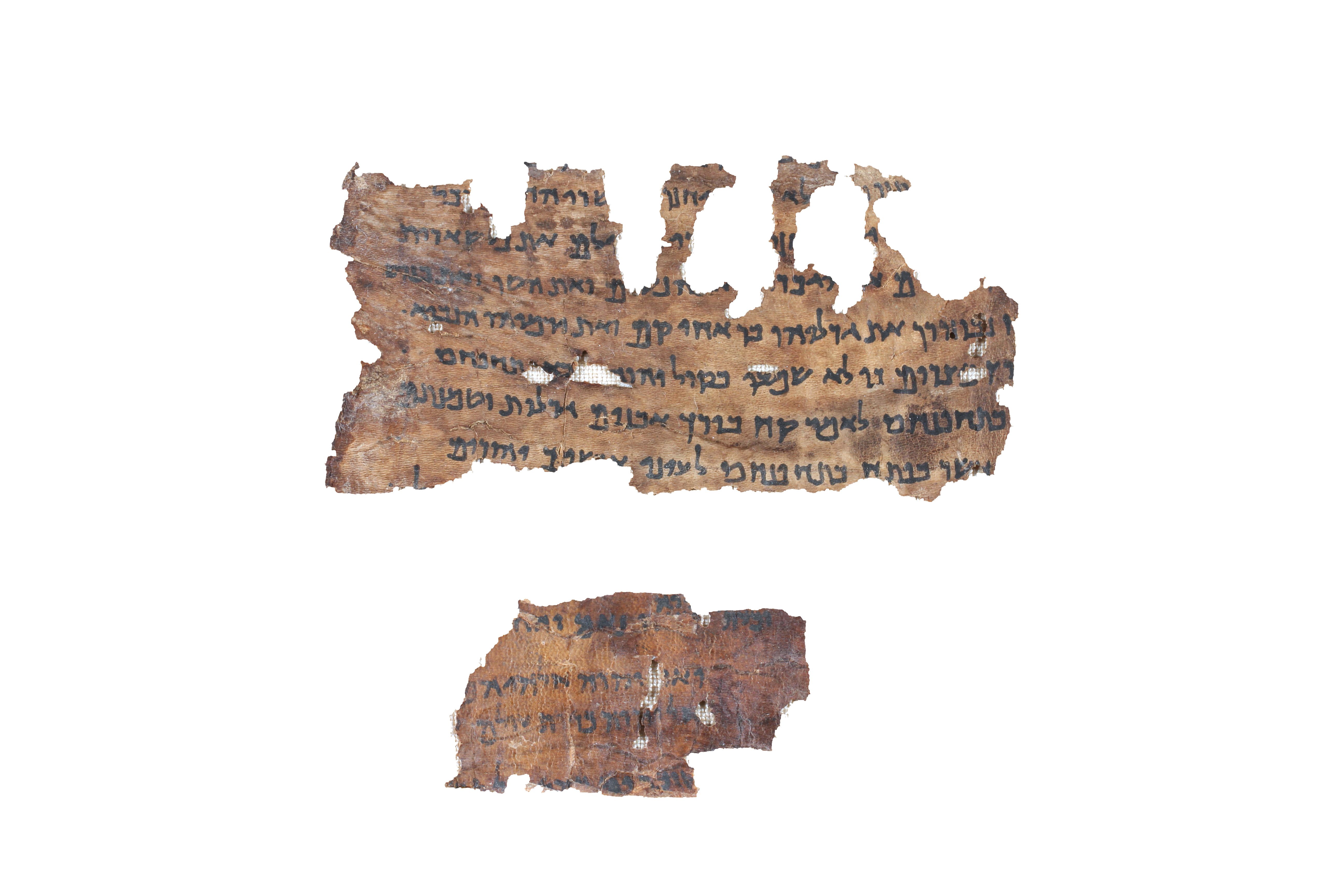 Researchers analyzed traces of ancient animal DNA from fragments of the Jeremiah scrolls.