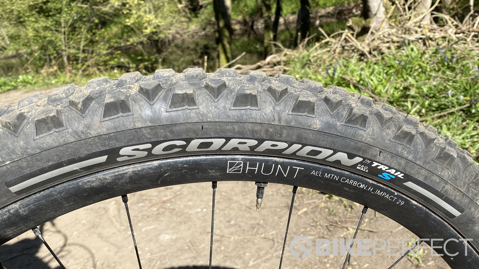 Pirelli Scorpion Trail and Enduro tire review Bike Perfect