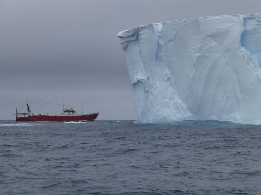 The Amaltal Explorer is dwarfed by a tabular iceberg during the Antarctic voyage.