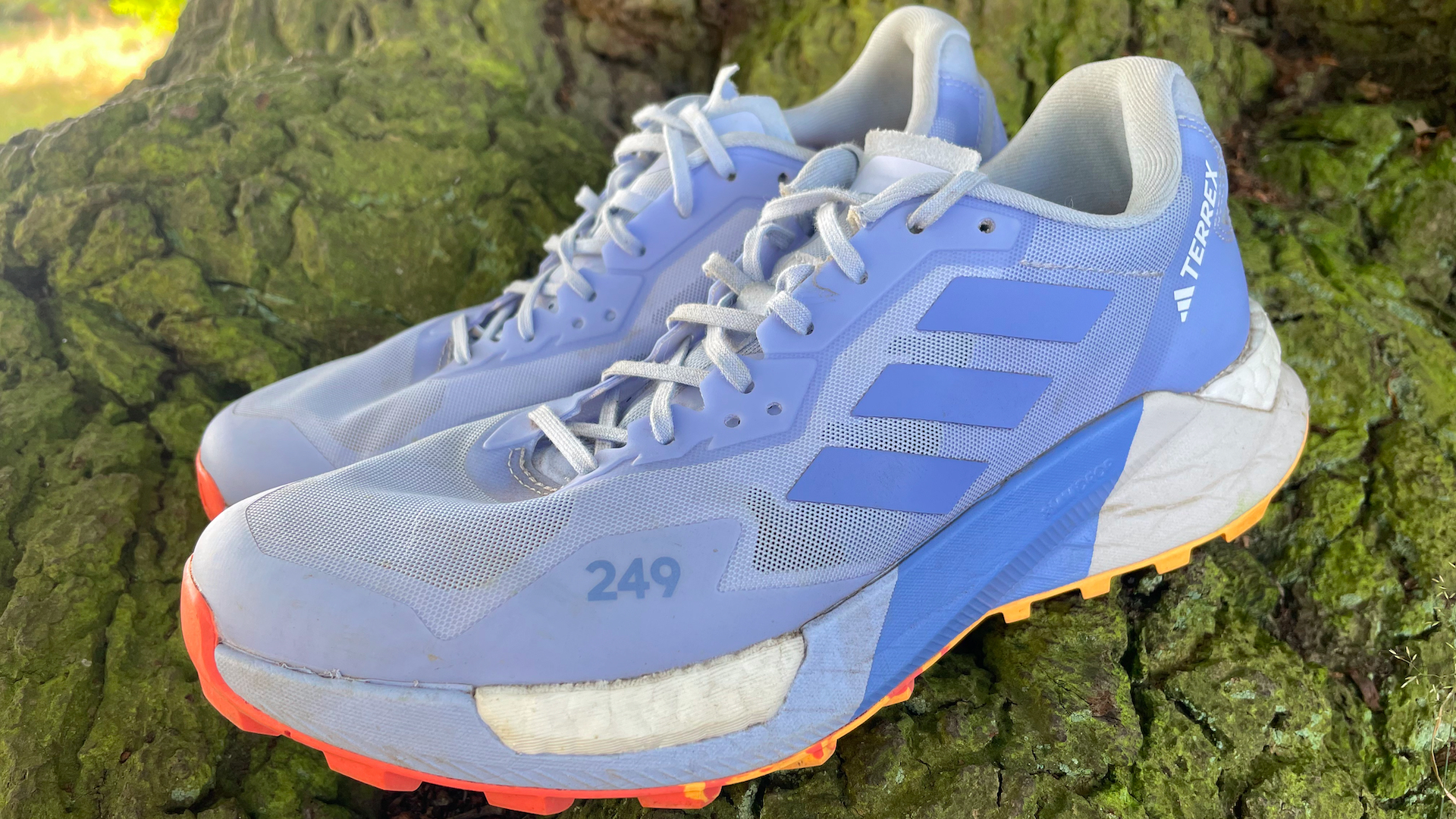Adidas Terrex Agravic Ultra trail running shoes review Advnture